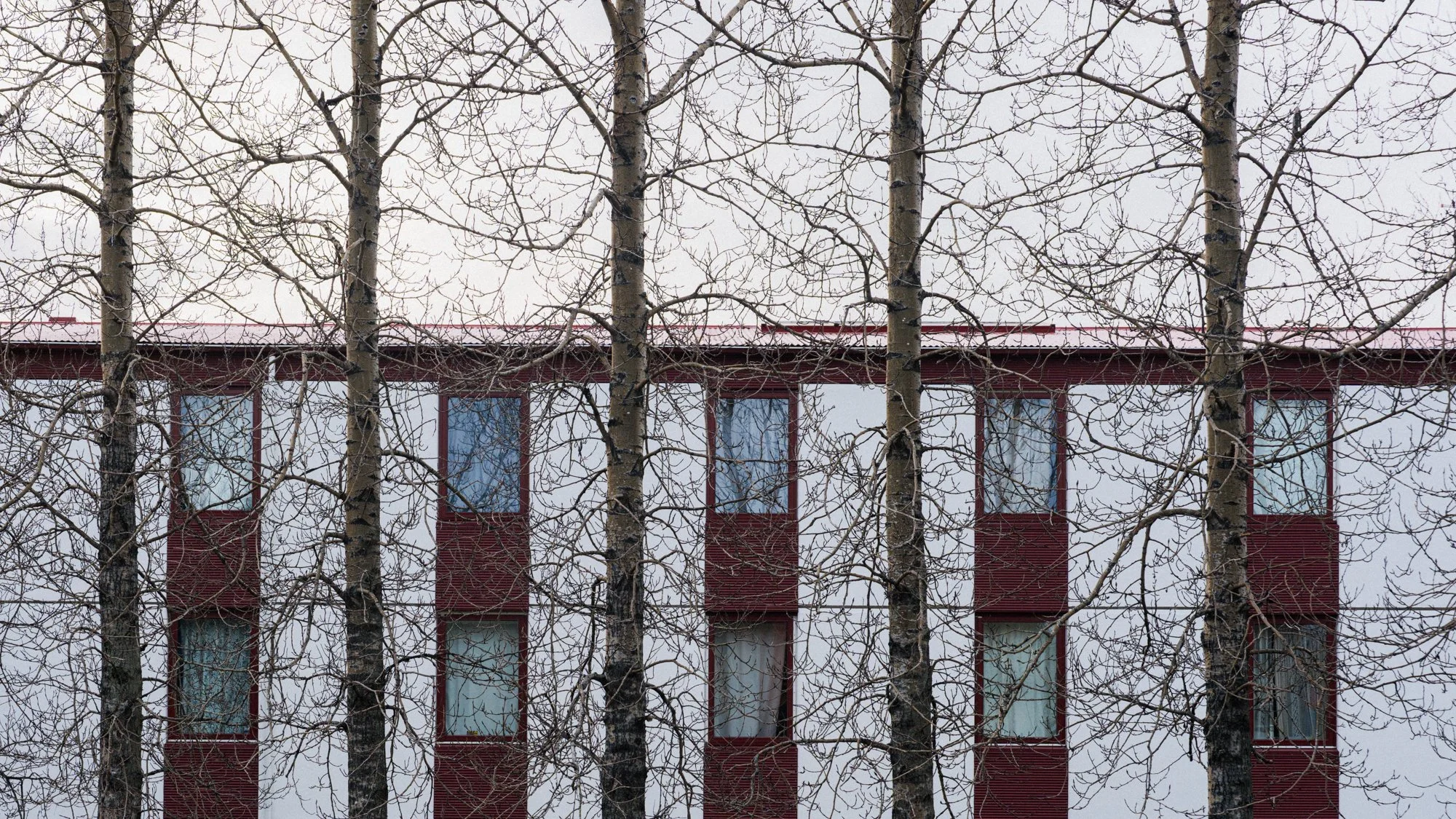 February 21, 20268888991.jpg