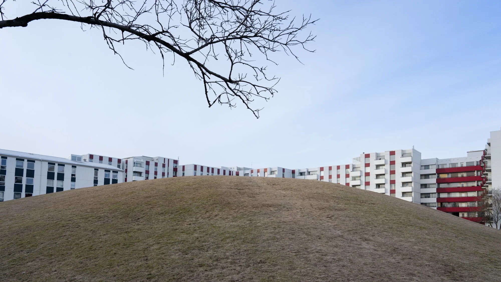 February 16, 20268888991-3.jpg