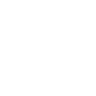Shield icon with checkmark