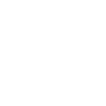 Magnifying glass icon