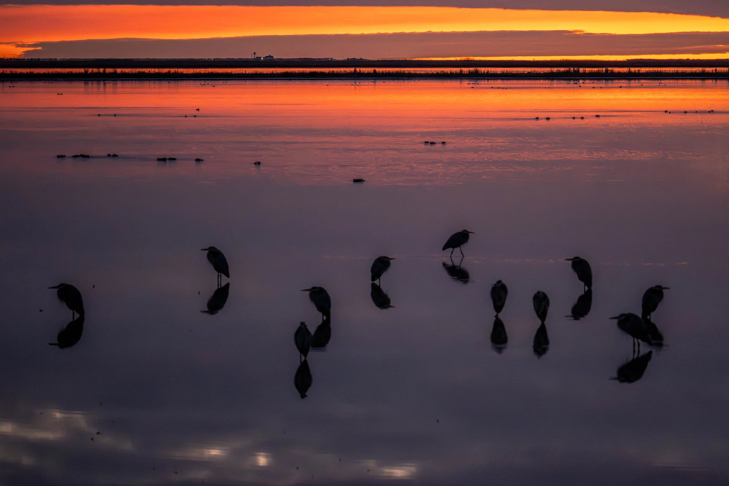 Photo's for your viewing