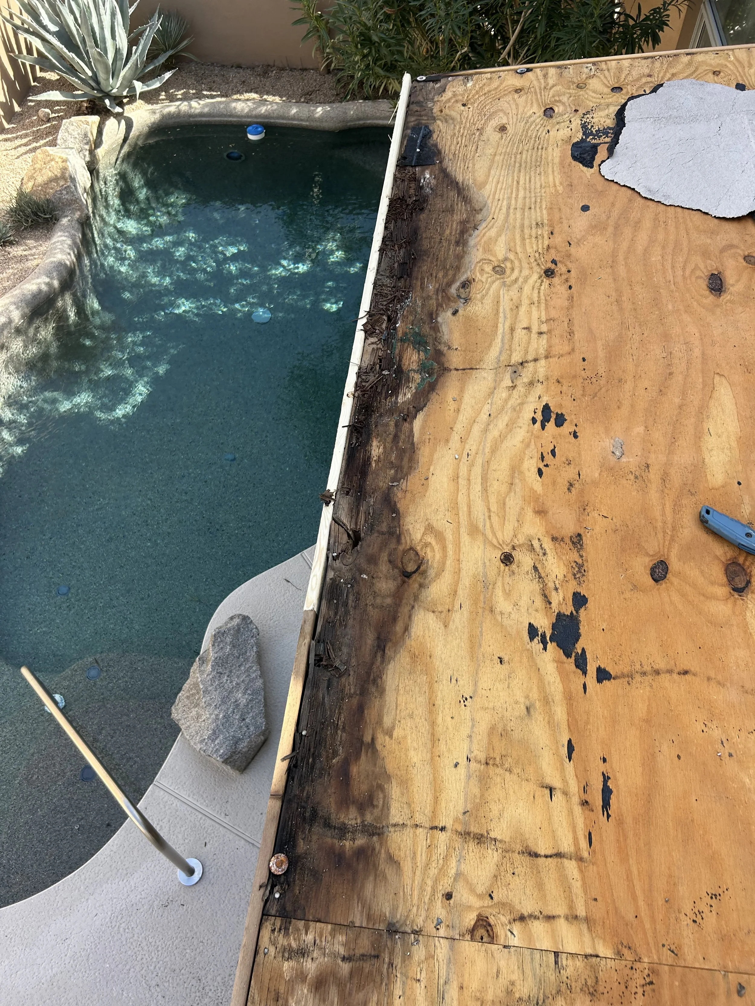 Part of an outdoor pool with clear water and floating objects, adjacent to a wooden deck that is worn and damaged, with gardening plants and rocks nearby.