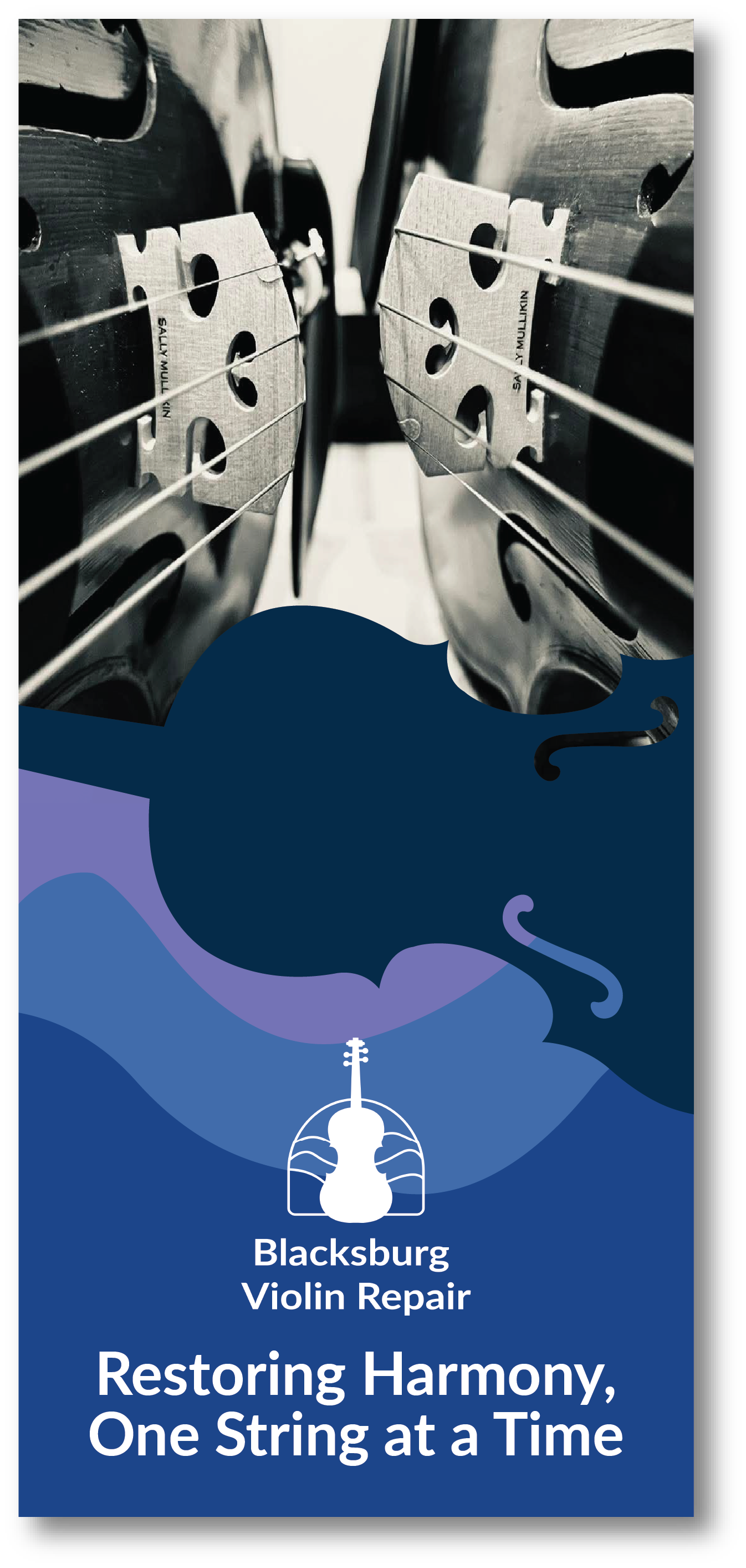 Bvr Brochure.png