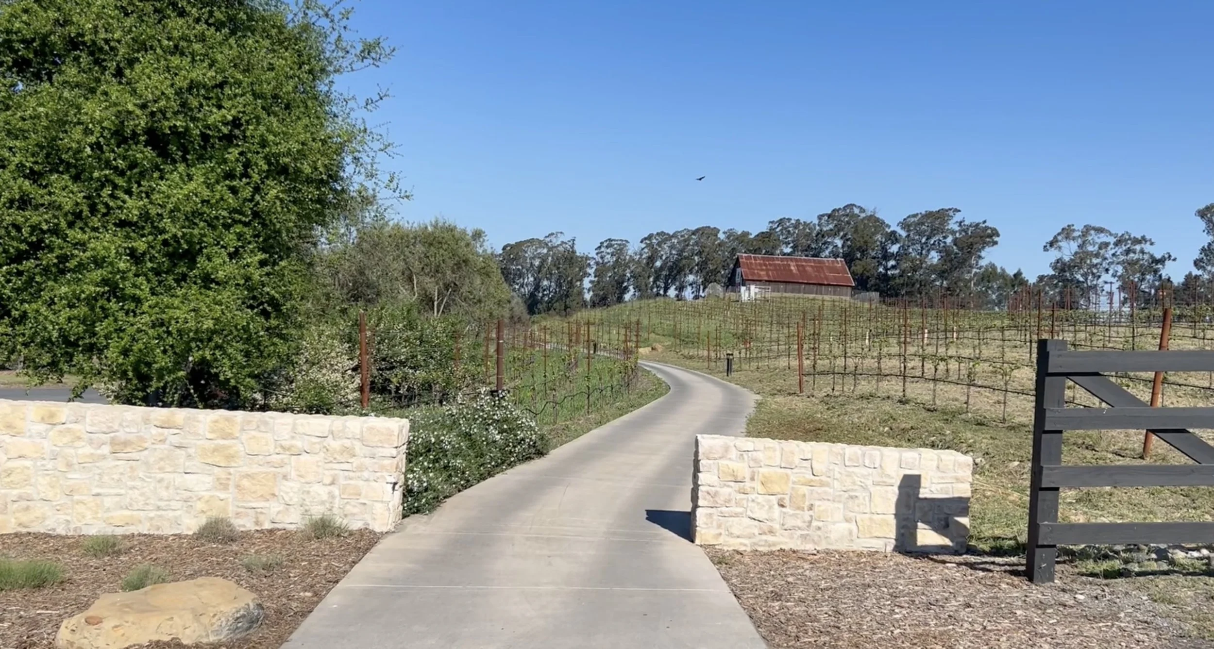 Stanly Ranch Auberge Resorts Collection vineyard view