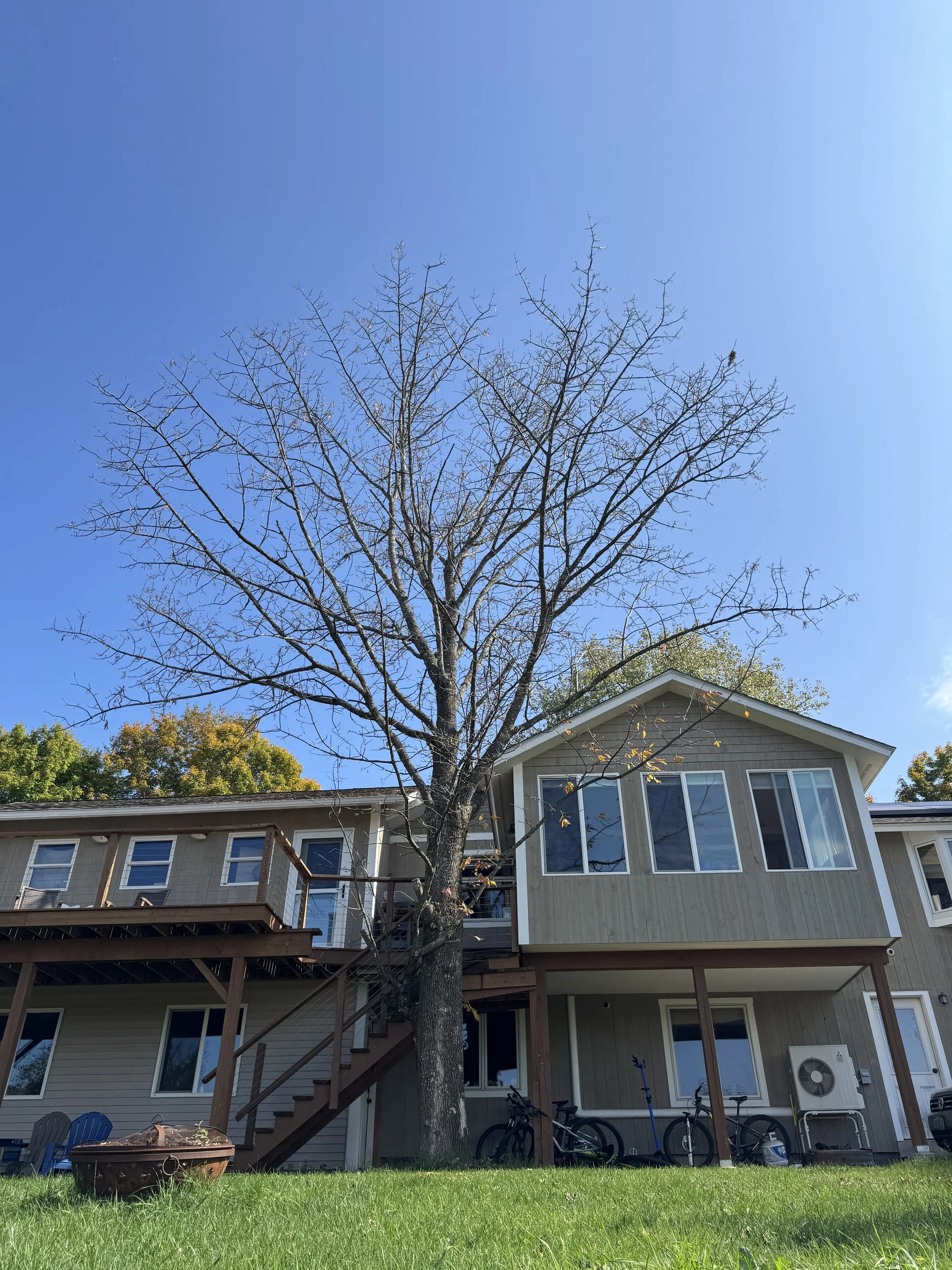 A multi-story house with a deck, stairs, and several windows. In front, there's a grass yard with a round fire pit and three bicycles. A large tree with no leaves is in the foreground, and the sky is clear and blue.