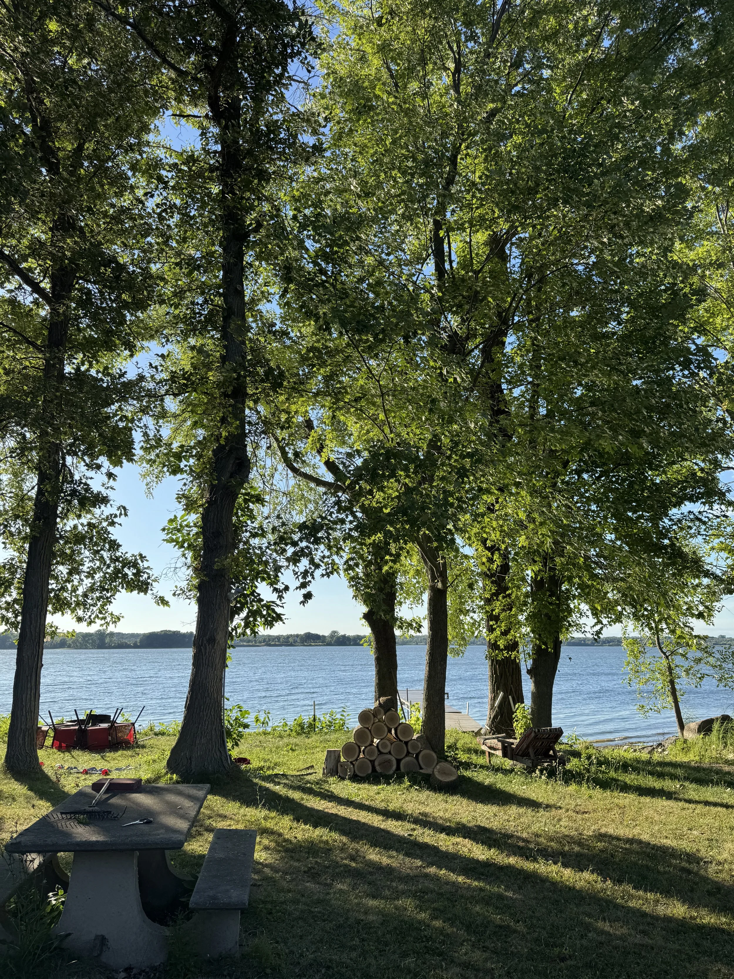 A lakeside scene with trees shading a grassy area, stacked logs, a picnic table, and a bench near the water, with a firepit and a dock in the background.