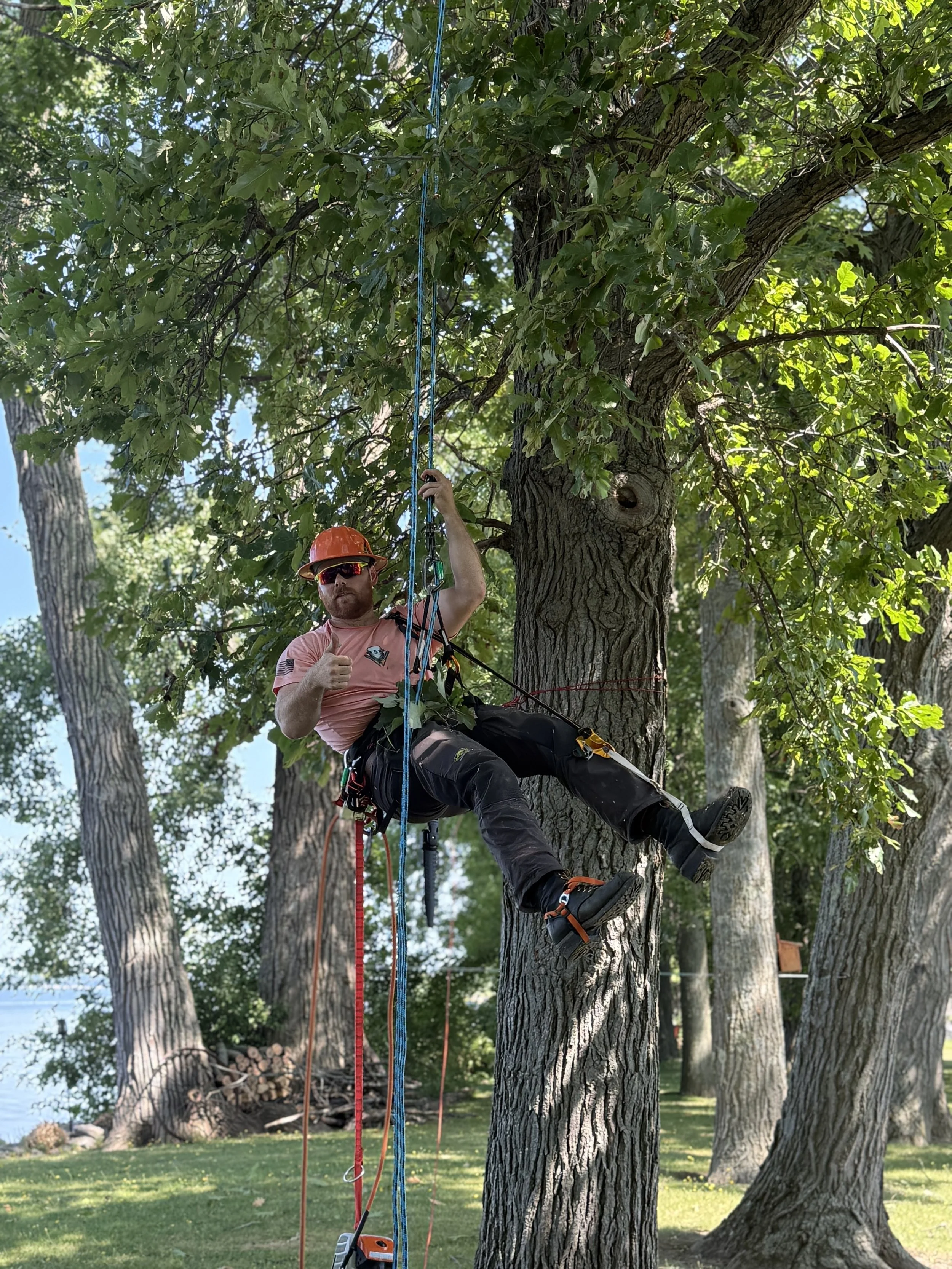 A person wearing a helmet, sunglasses, and climbing gear is sitting in a tree, giving a thumbs-up while holding onto a ropes. The setting is a wooded area near a body of water.