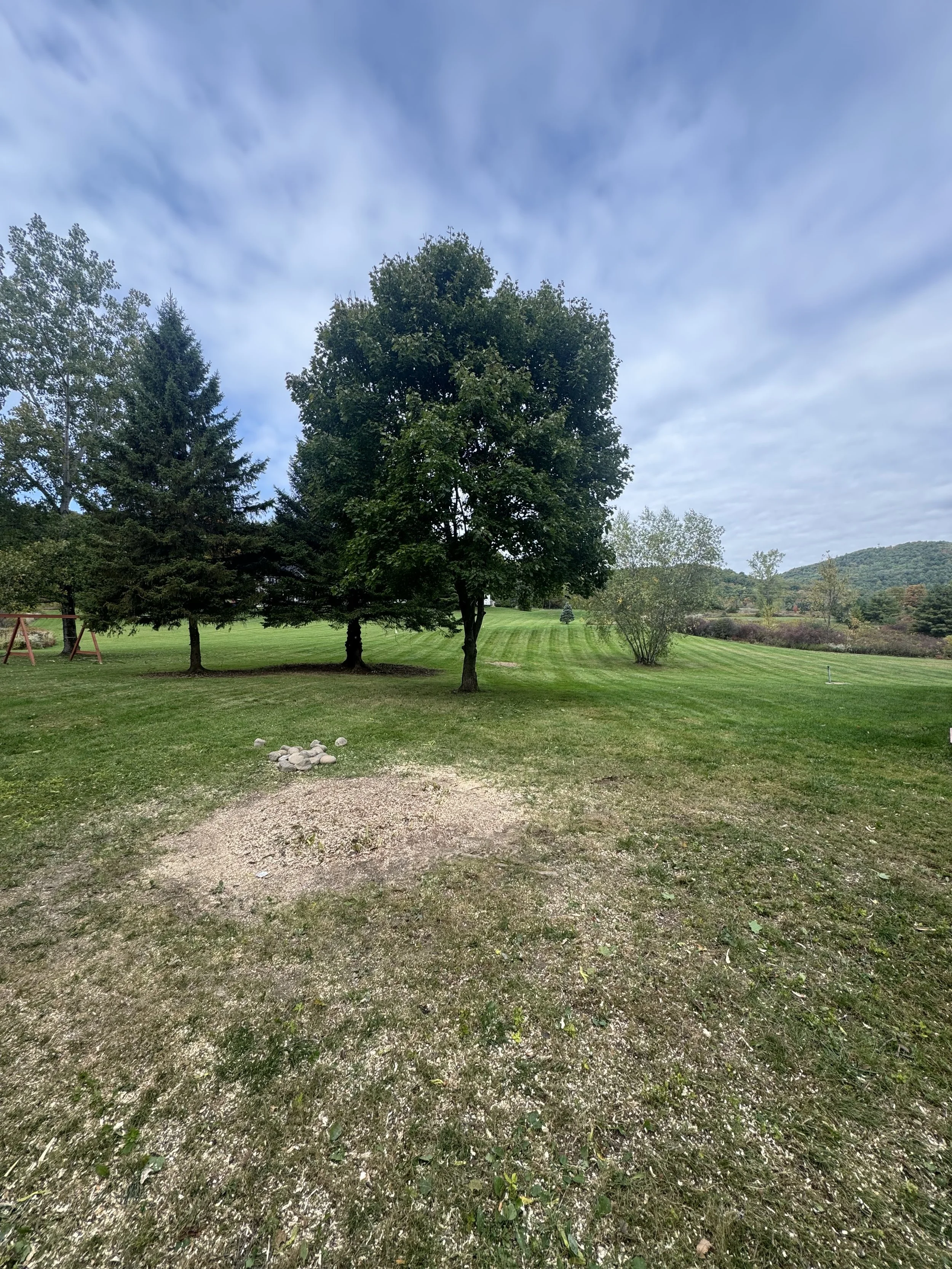A grassy park with three trees, a swing set, and distant hills under a partly cloudy sky.