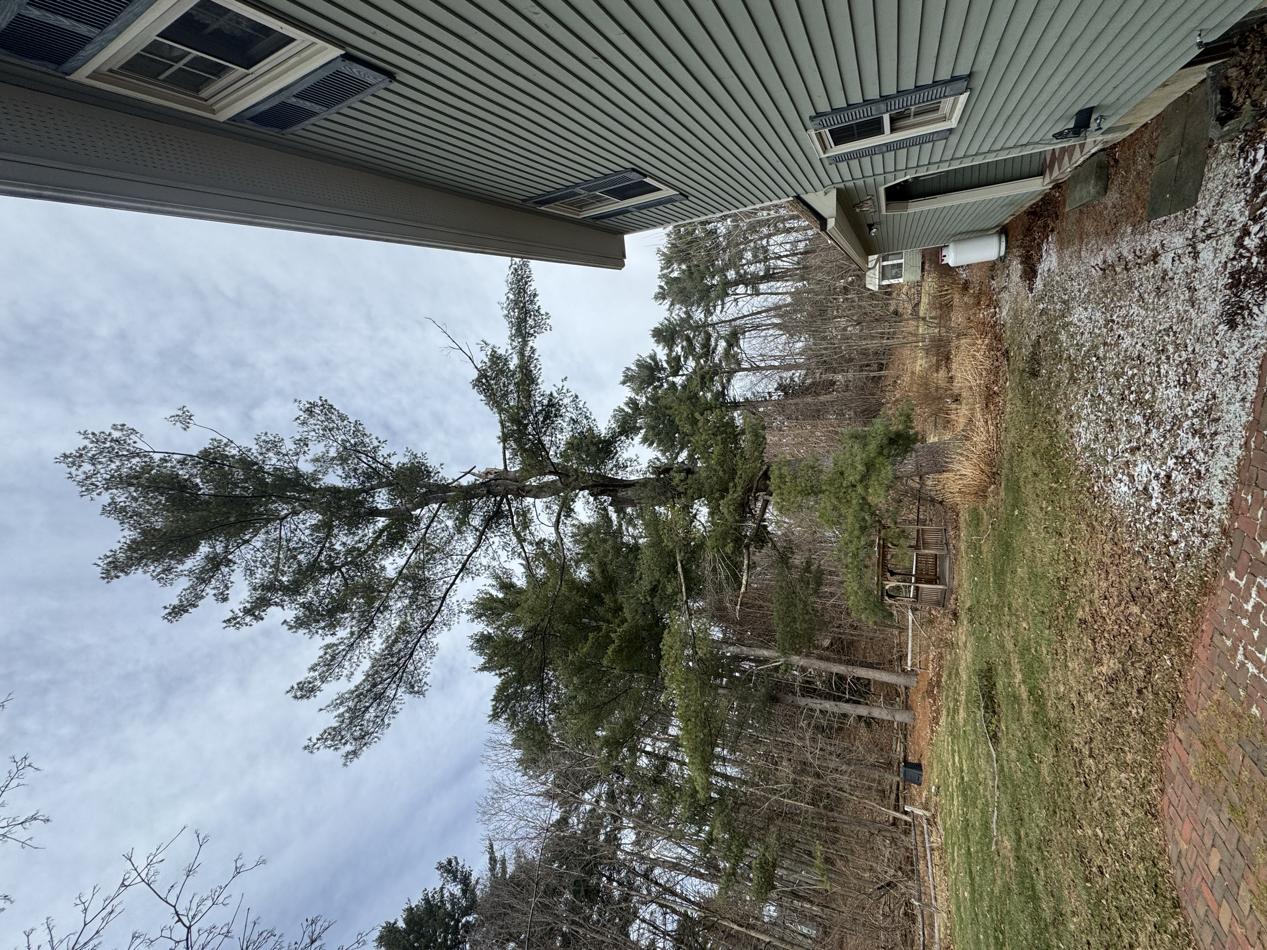 An outdoor view showing a backyard with grass, a brick pathway, and a wooded area with trees in the background. The sky is cloudy.