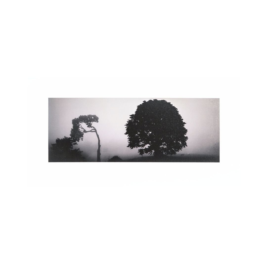Las Nubes D / Jan Hendrix