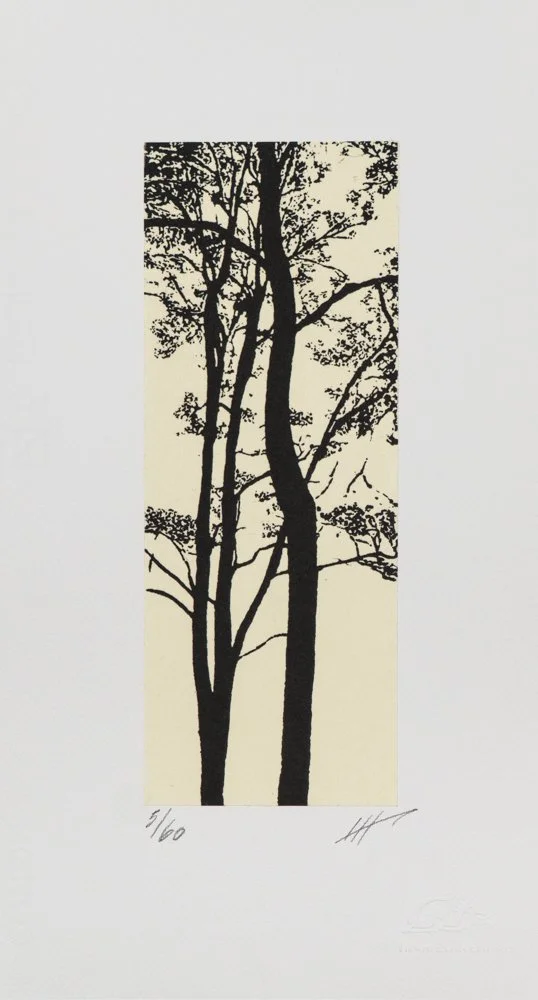 Serie C.II / Jan Hendrix
