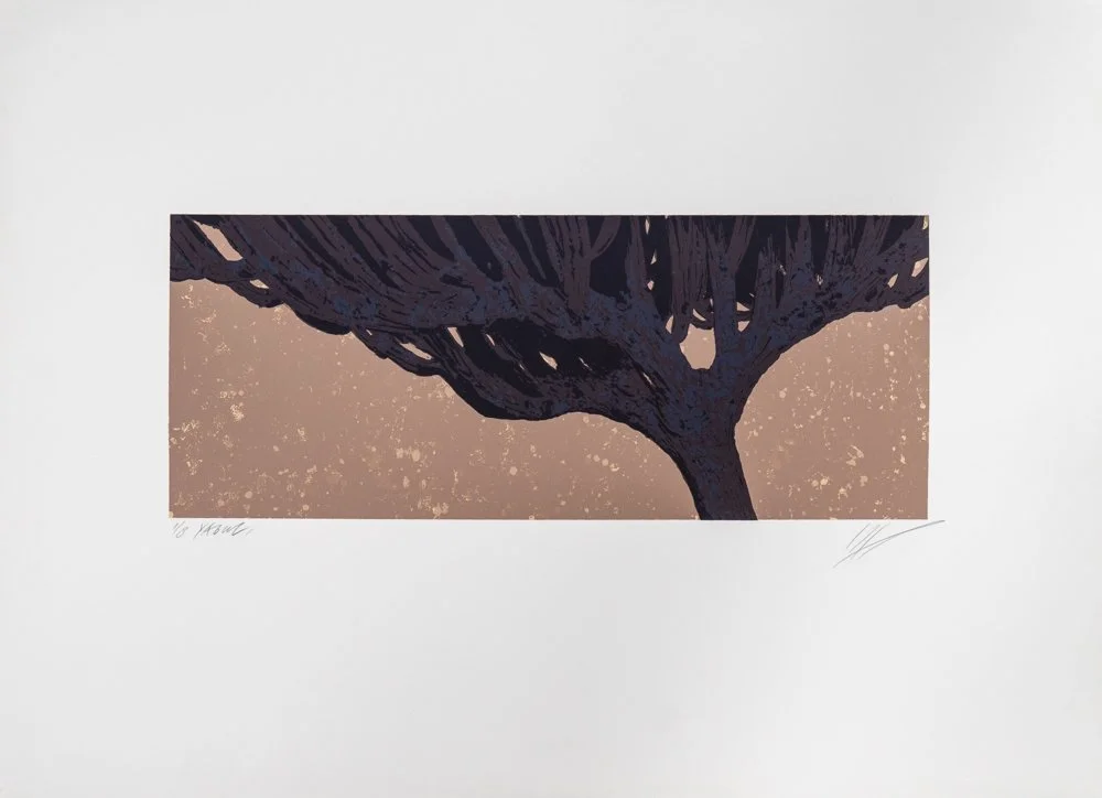 Yagul (2) / Jan Hendrix