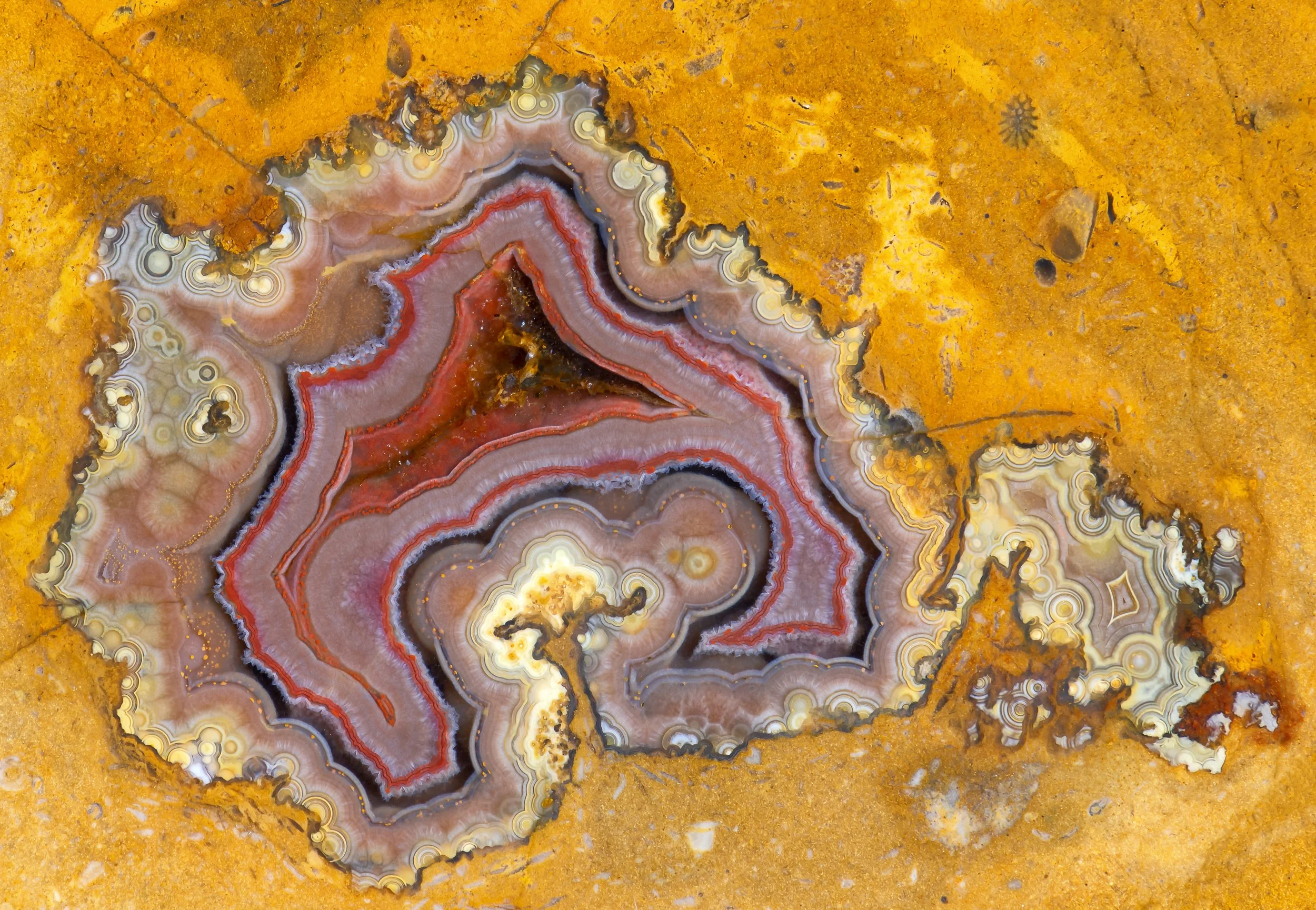 2019-10-12 13.20.25.jpg