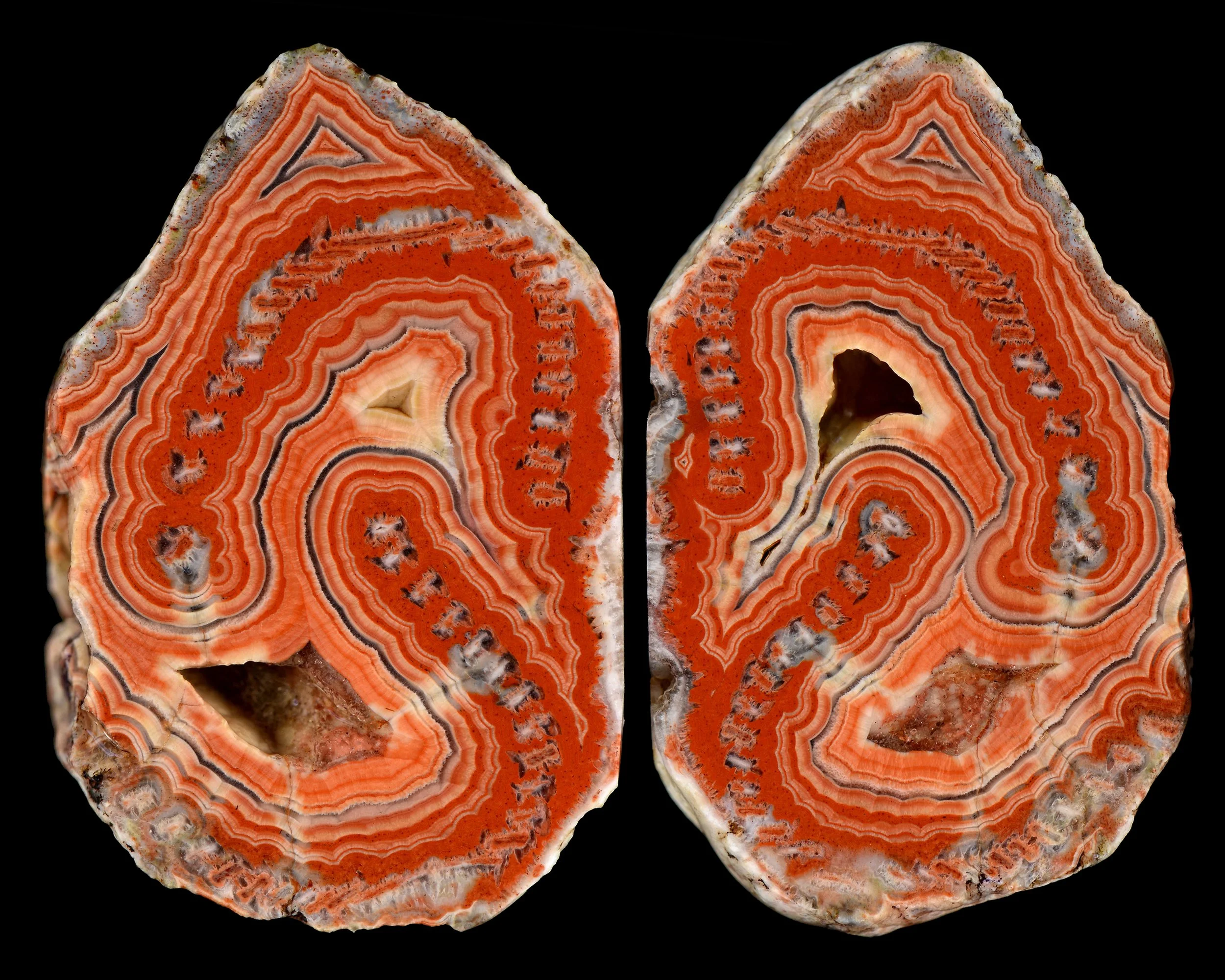 2019-09-15 20.44.36.jpg