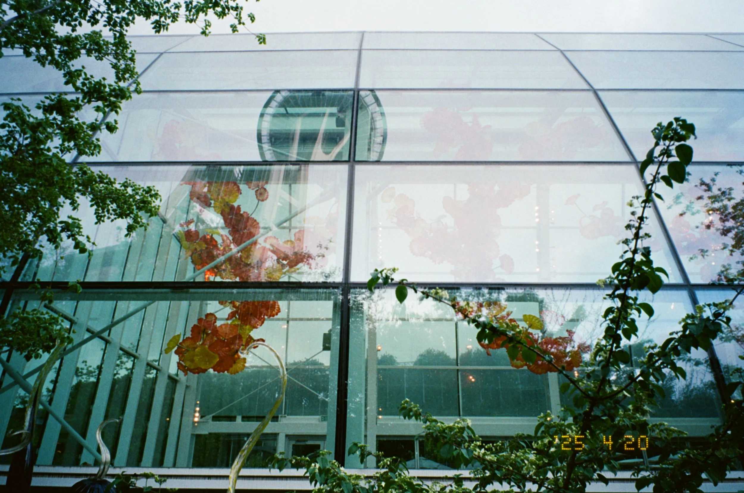 Scan-2025-05-05_20-03-32.jpg