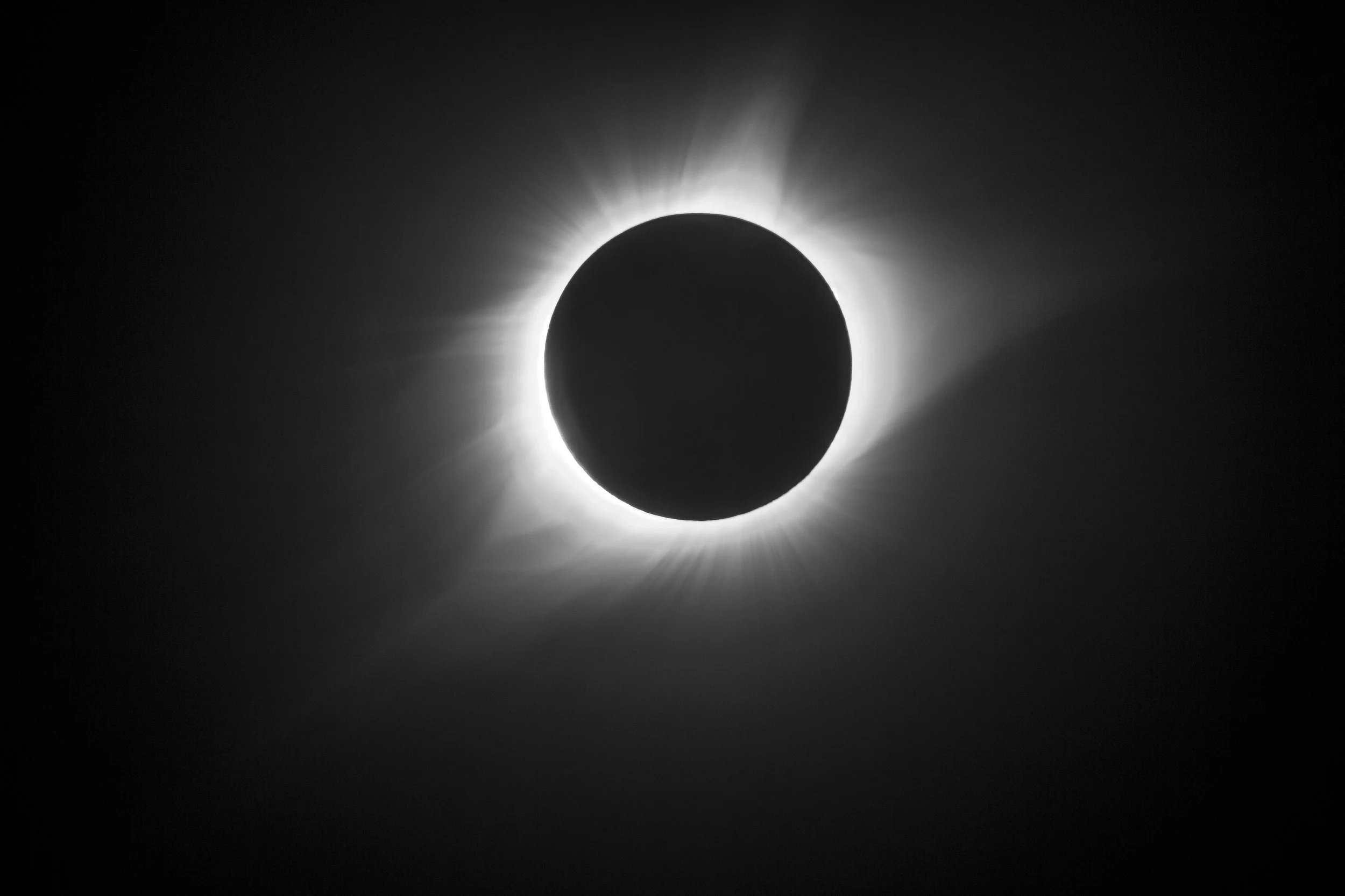 36715099111_e4f7e1bda5_o.jpg