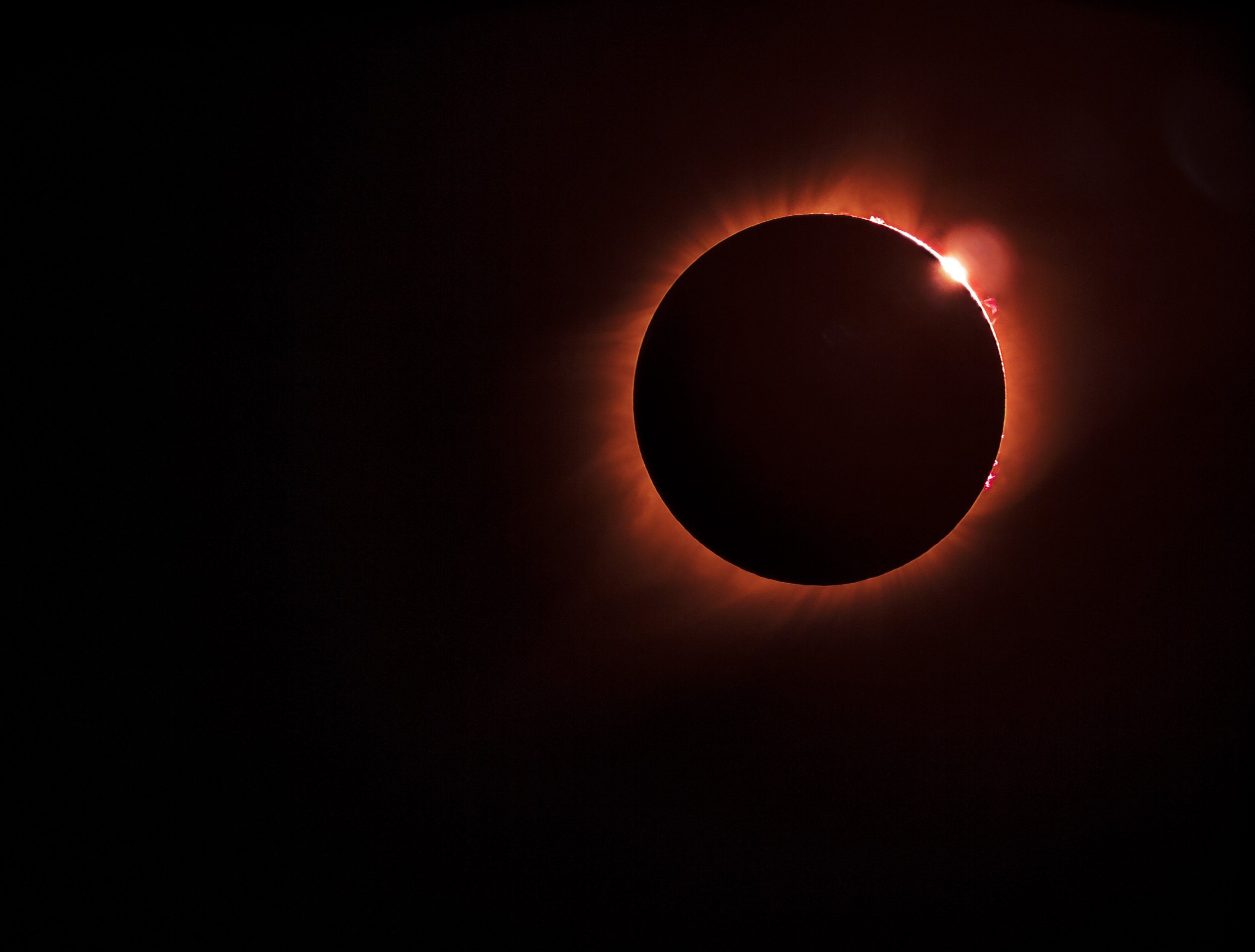 36683548302_915b19f514_o(1).jpg