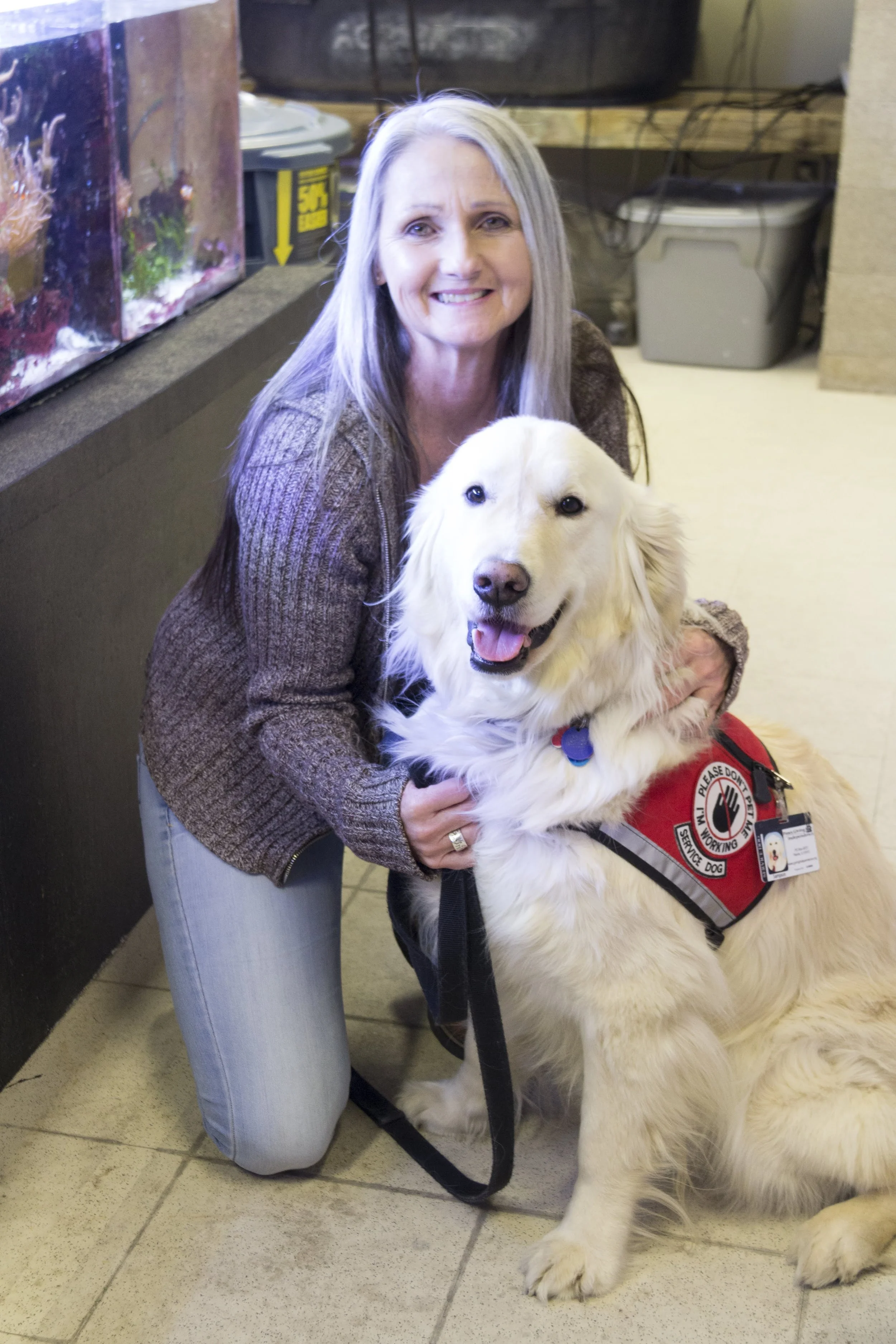Sampson the Service Dog, Daily Illini shoot