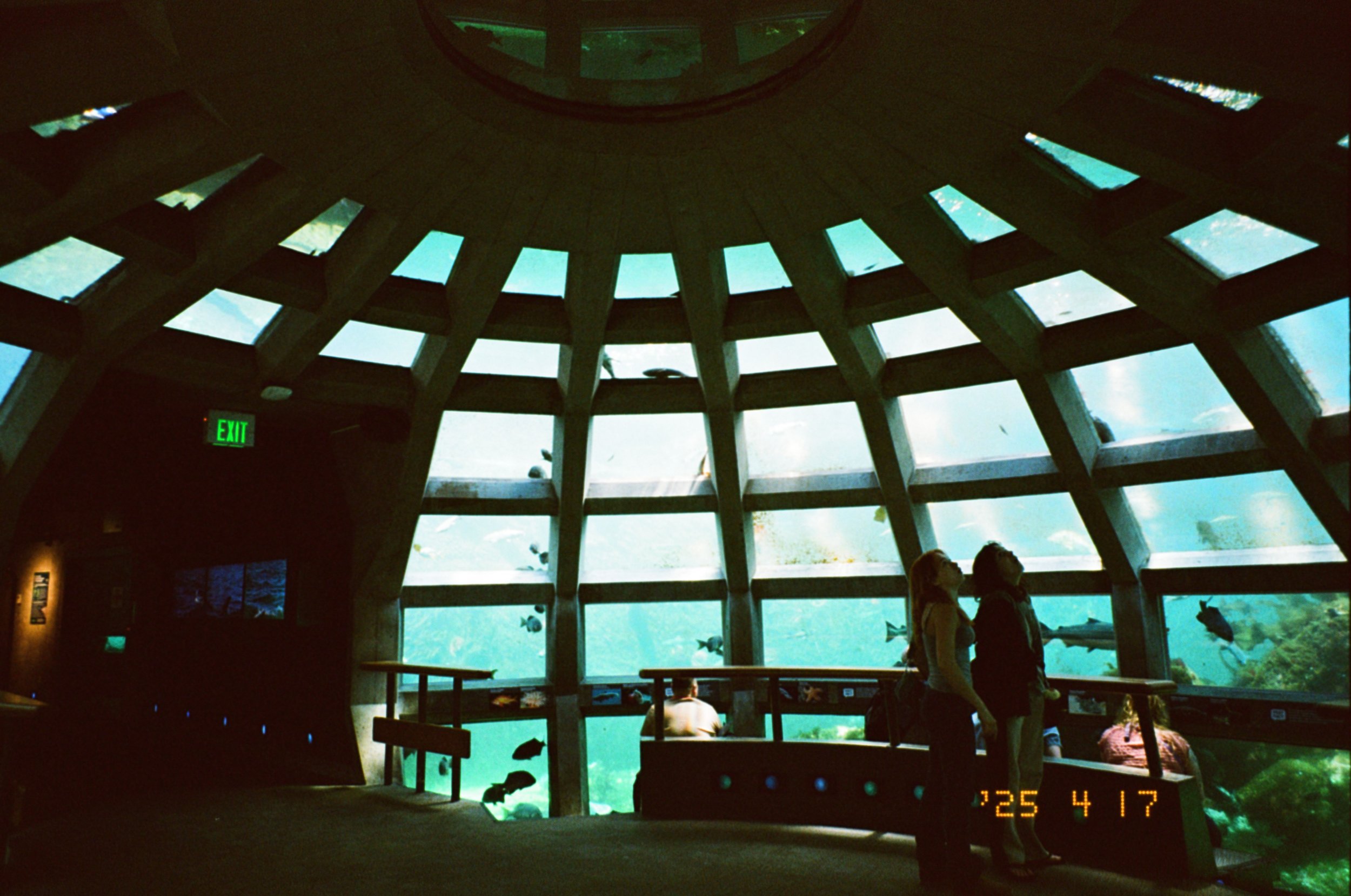 Scan-2025-05-05_20-21-28.jpg