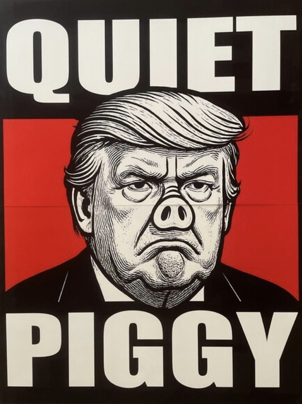 Quiet Piggy