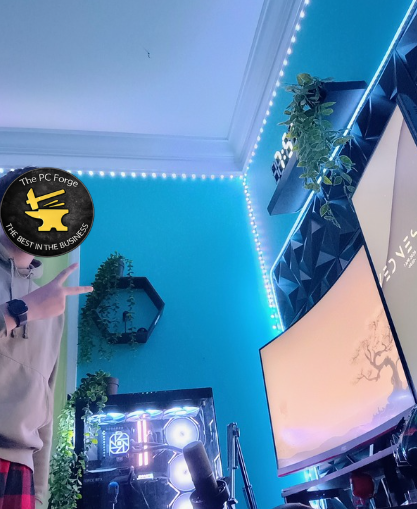 A computer setup in a blue room with LED strip lighting: a monitor, a gaming PC with illuminated components, potted plants, and a person's arm pointing at the monitor.