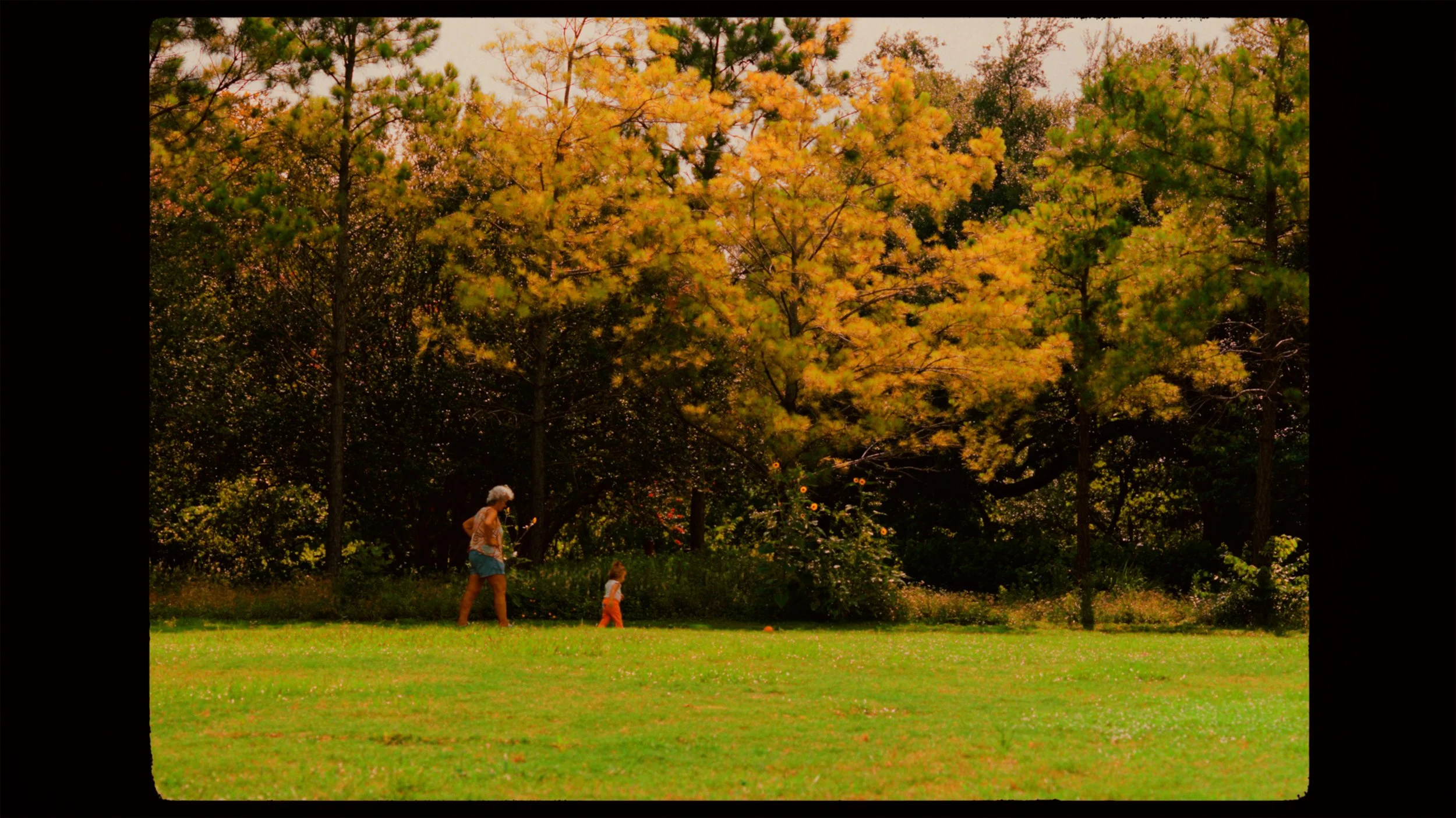screengrab2.jpg
