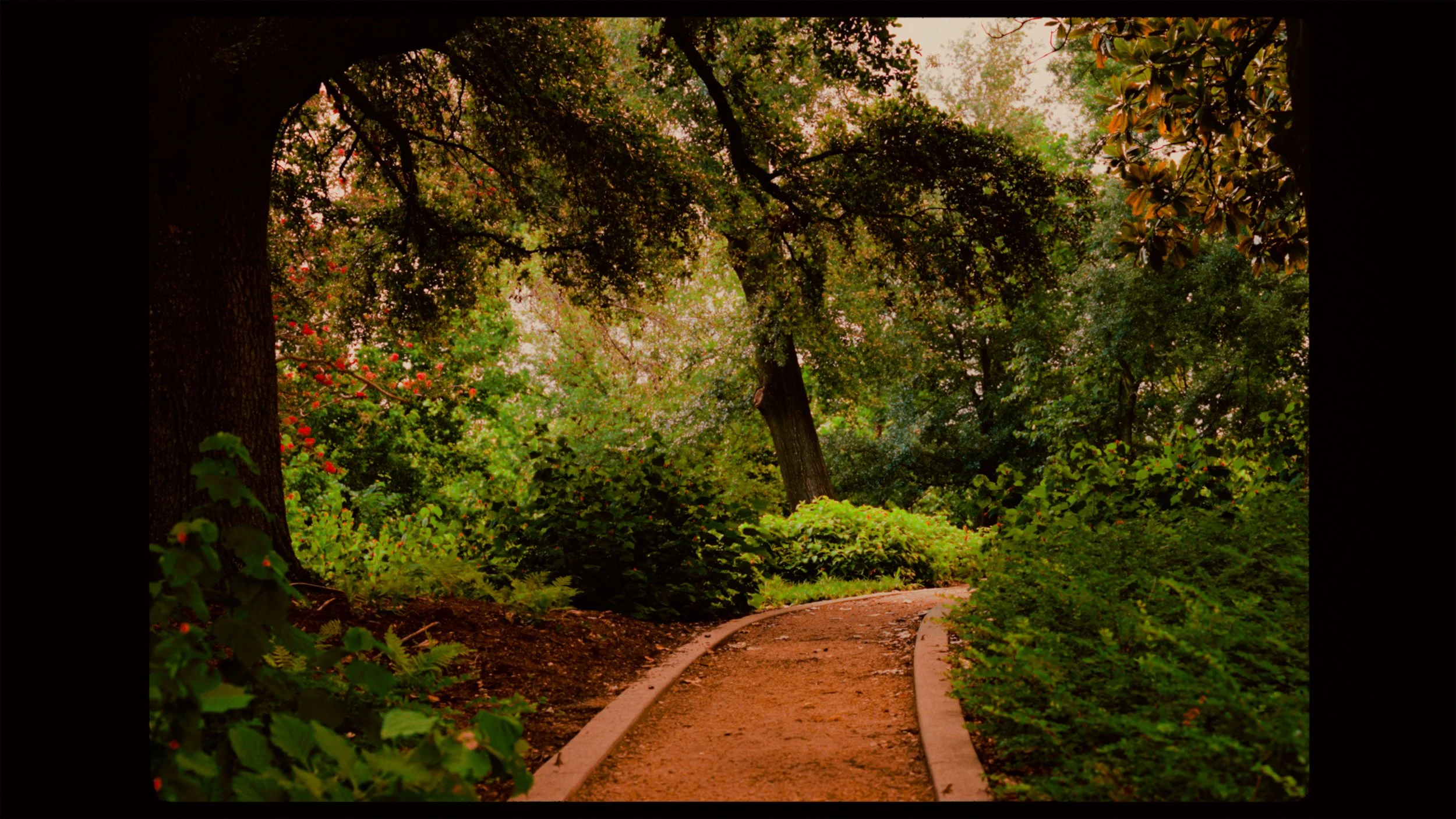 screengrab1.jpg