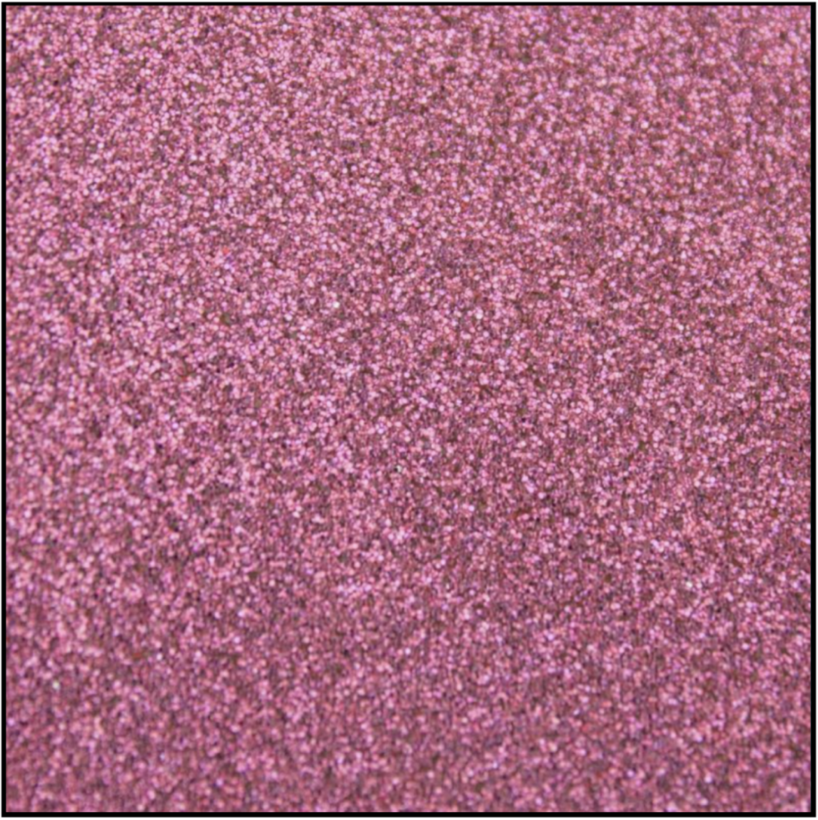 Screenshot 2026-04-07 at 3.27.37 PM.png
