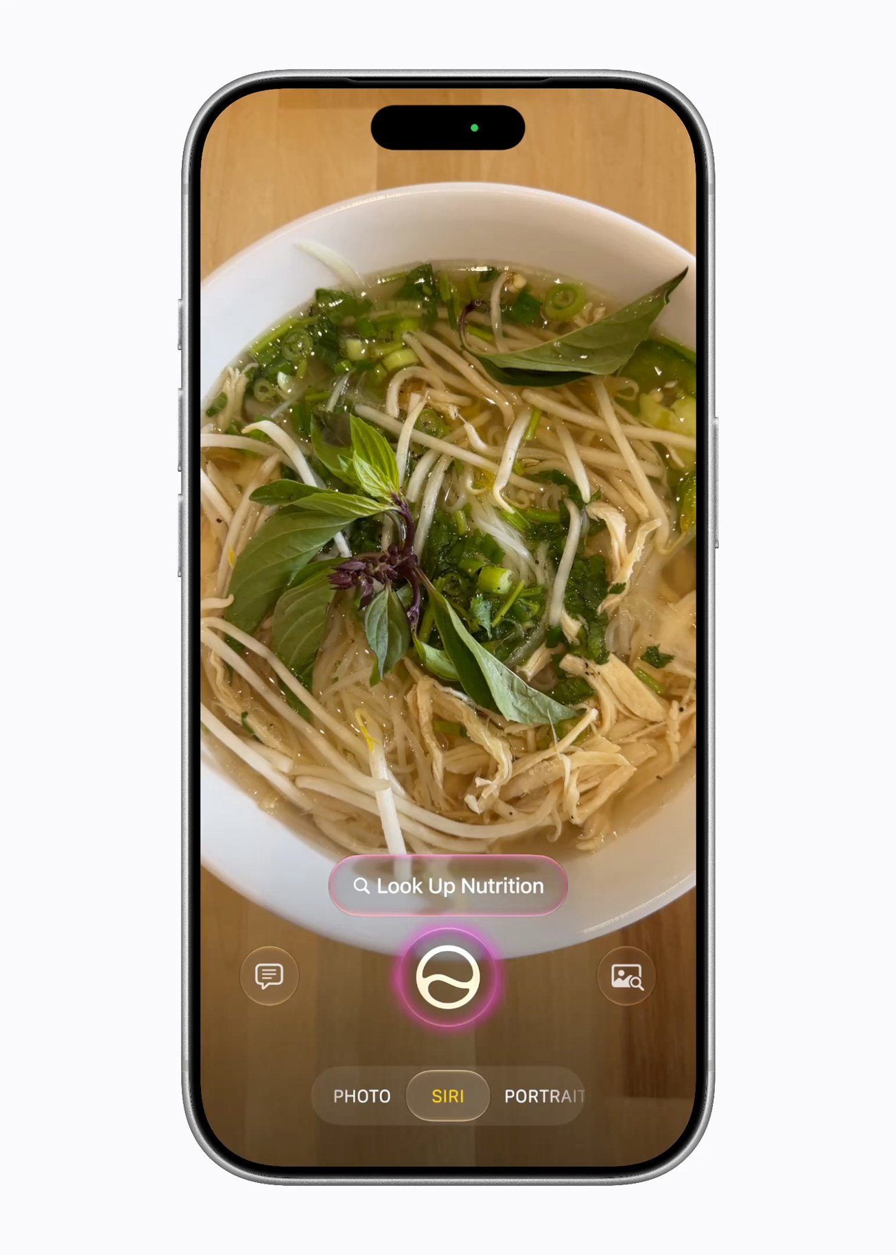 Siri AI - Visual Intelligence Use Case