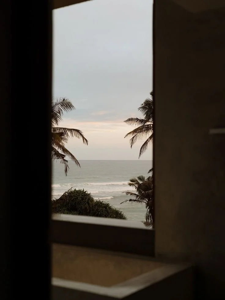 View of the ocean with palm trees seen through a window.