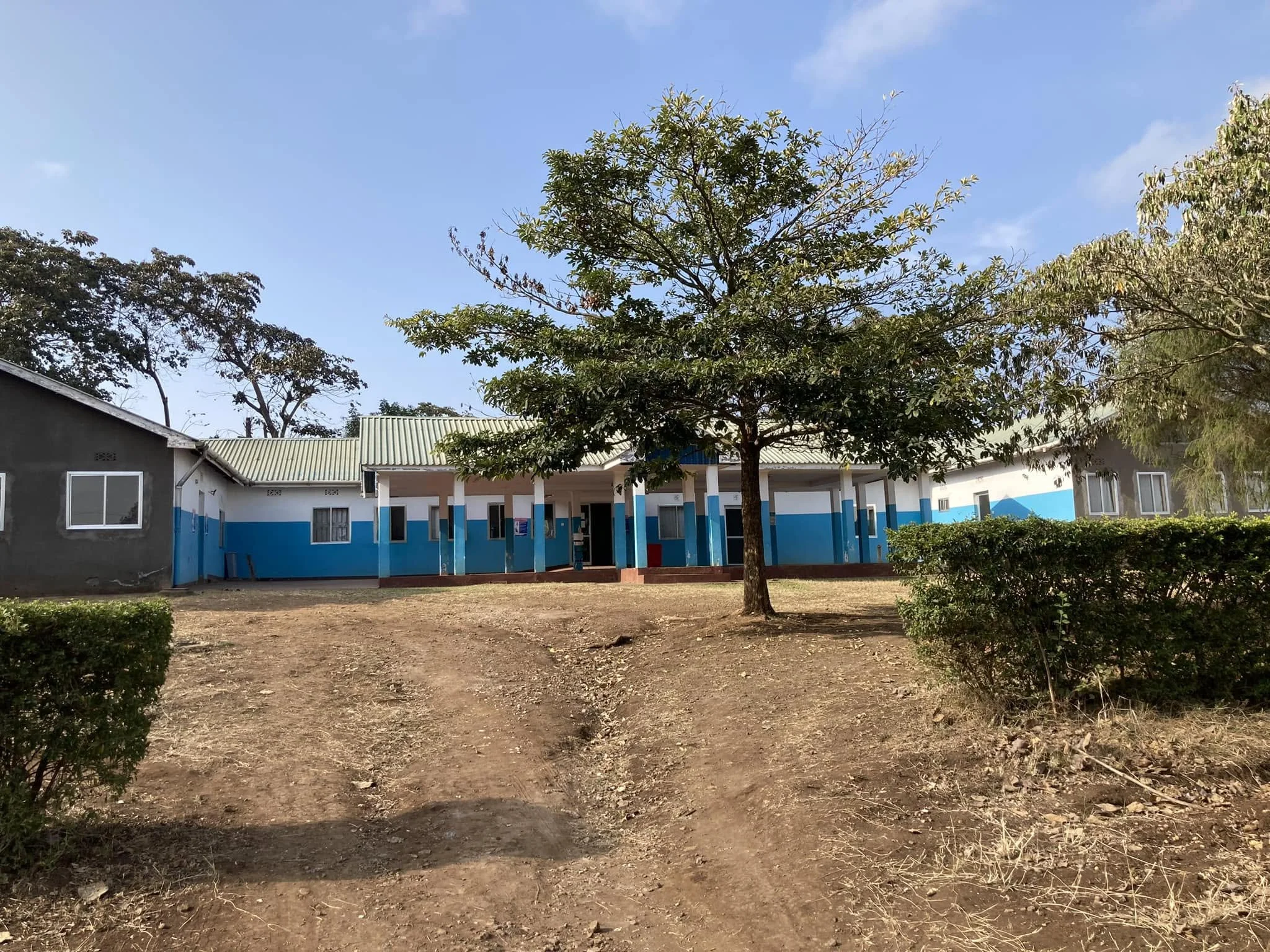 A school courtyard with a large tree in the center, surrounded by bushes and a dirt ground, with buildings featuring blue and white walls in the background under a partly cloudy sky.