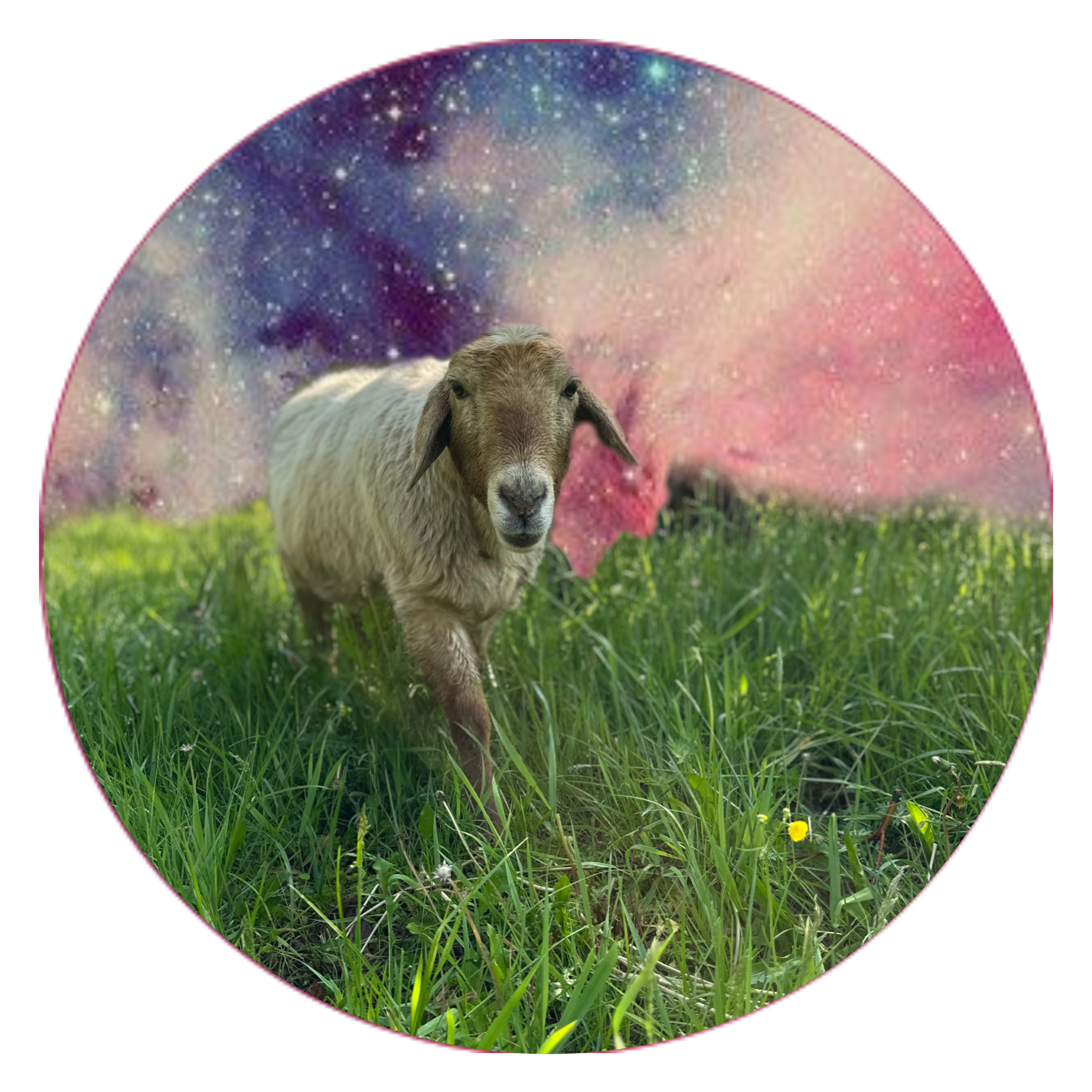 C28123E9-E79B-4313-925D-C1A1B5AABD04.png