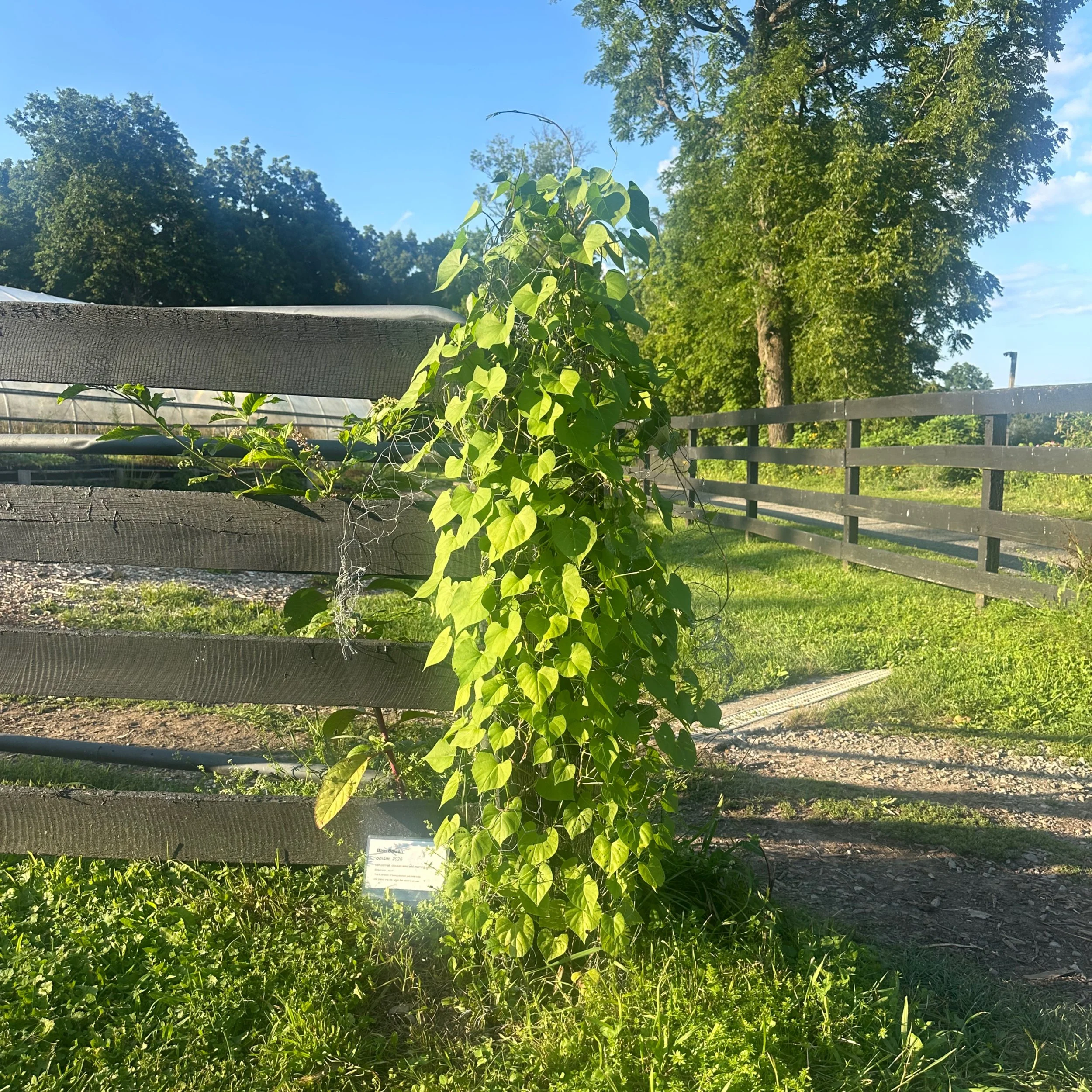 7.31.2026