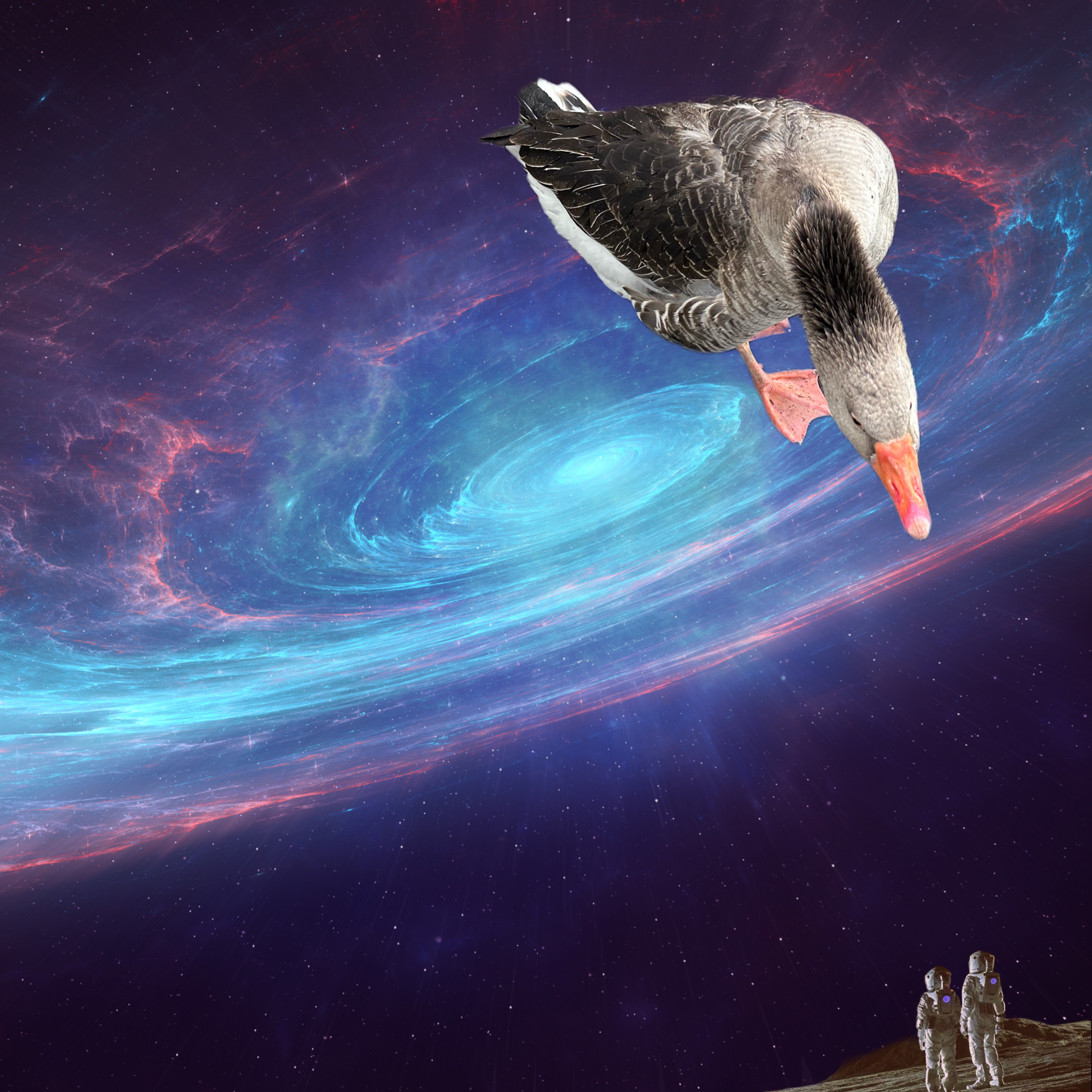 B855010F-122C-439A-A304-25E18896B26B.png