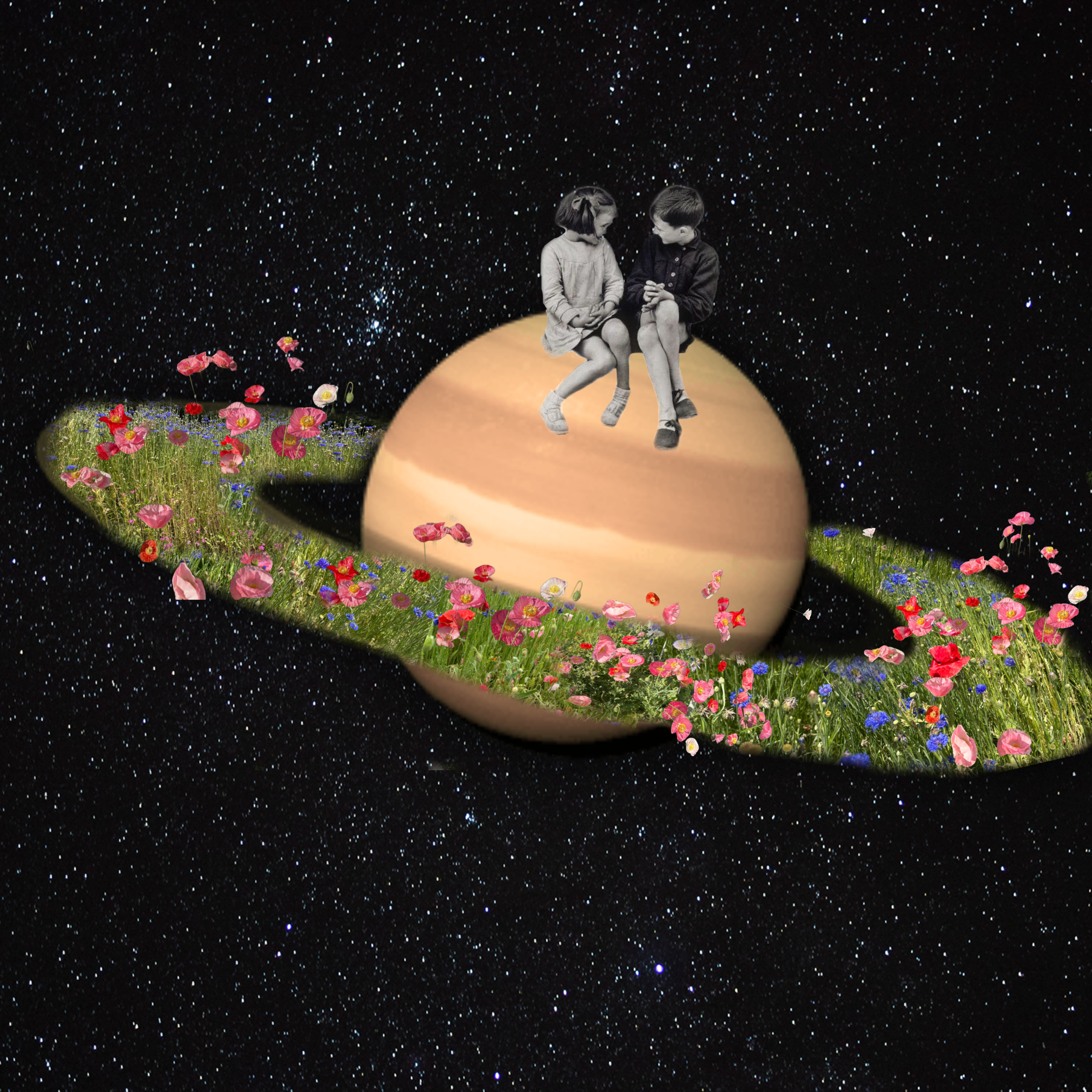 Cosmic Bloom