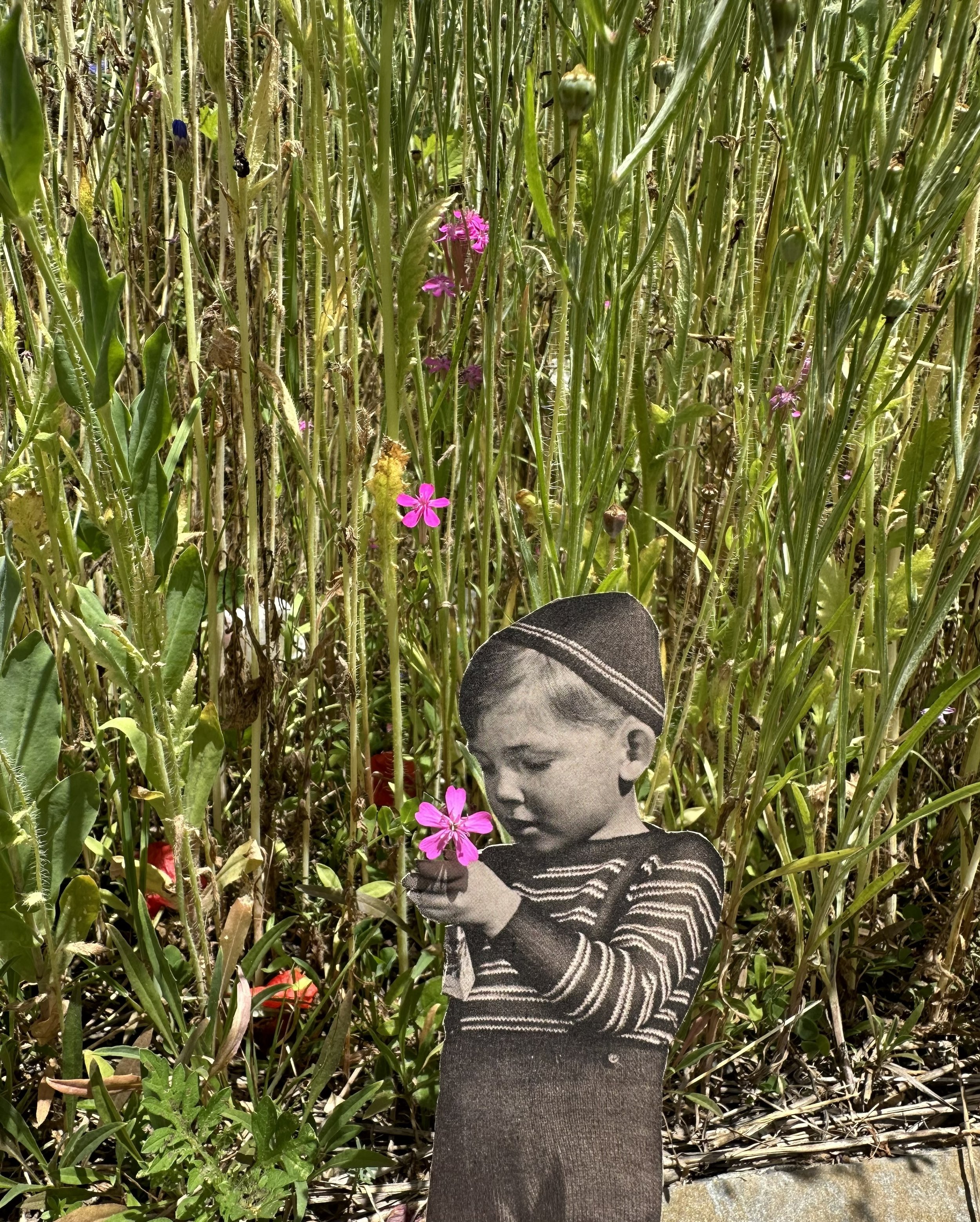 Flower Picking