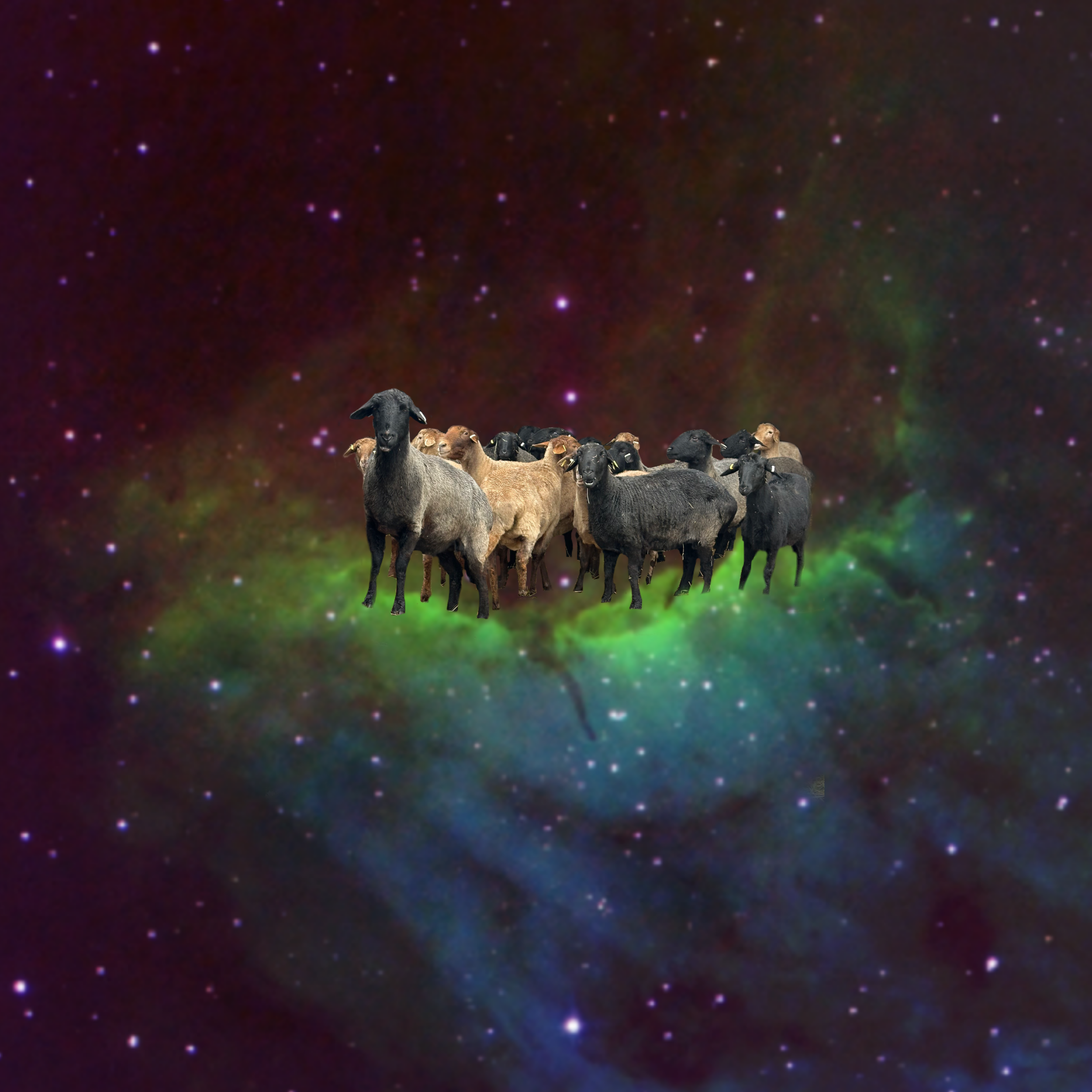8C8FF2BD-2419-4412-8818-32B419E92F73.png