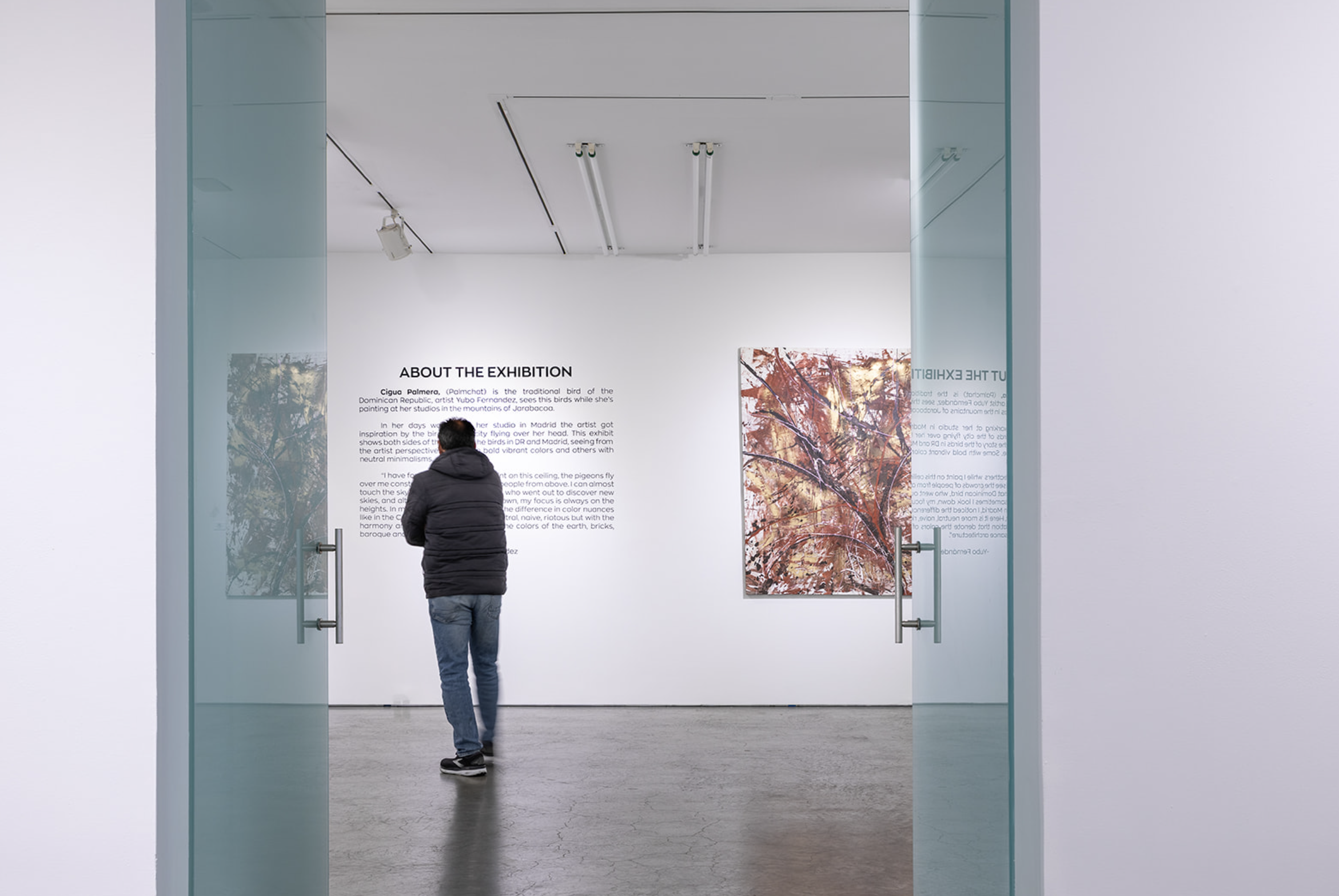 Person viewing artwork in an art gallery, with text about the exhibition on the wall