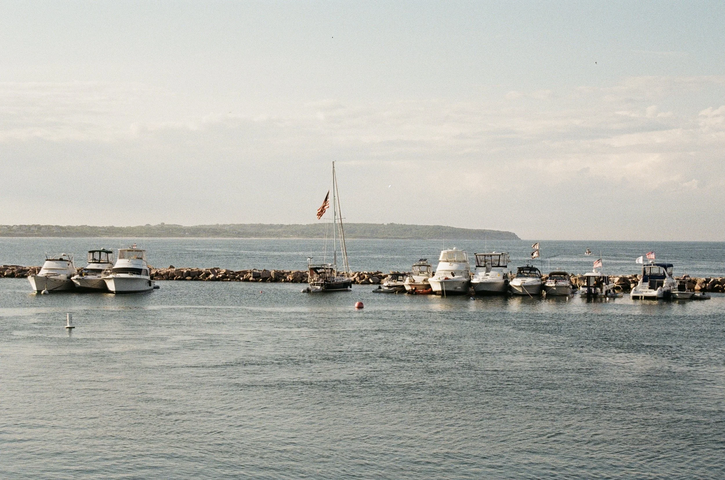 IMG_7851.jpg