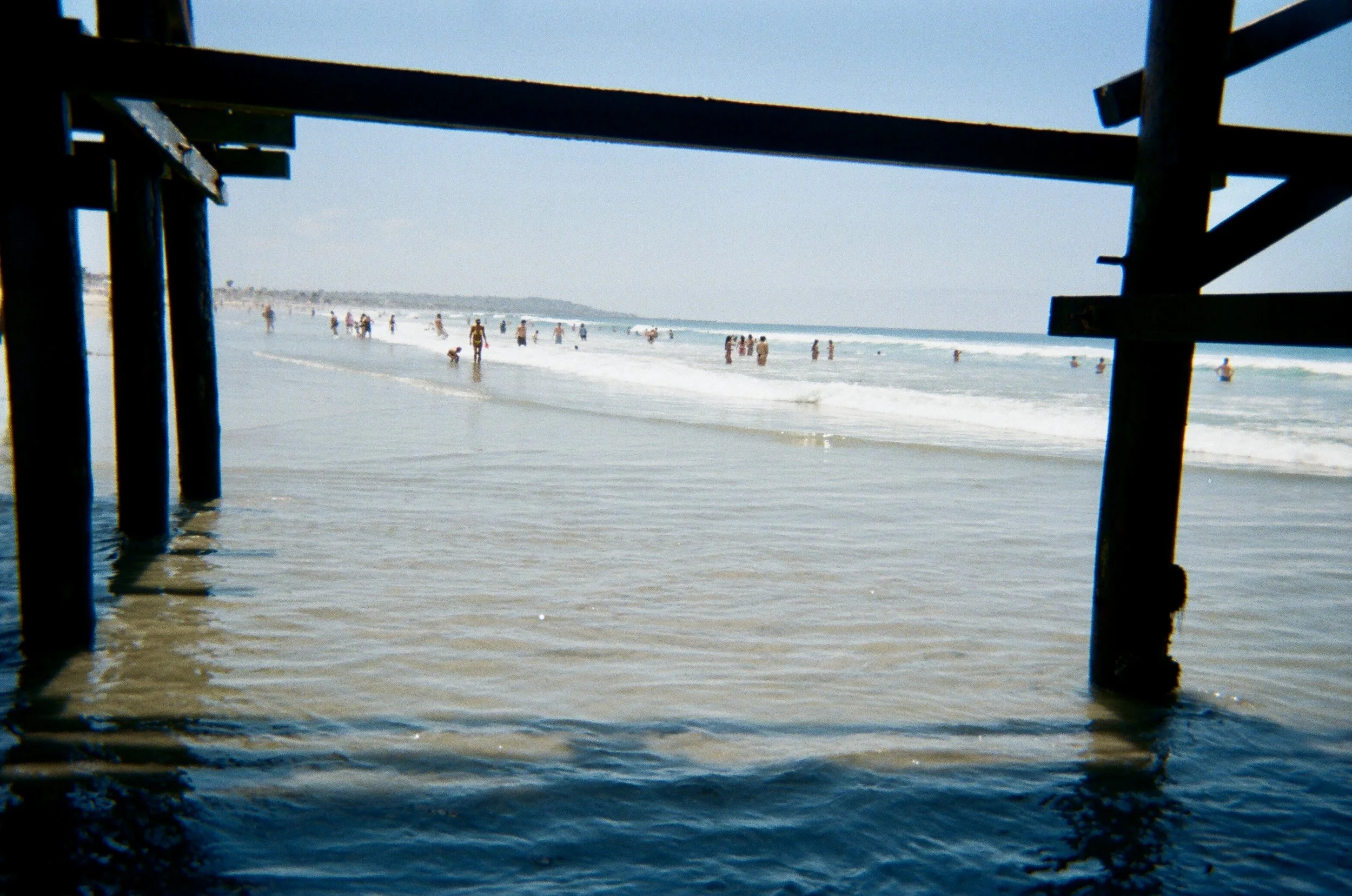 IMG_8769.jpg