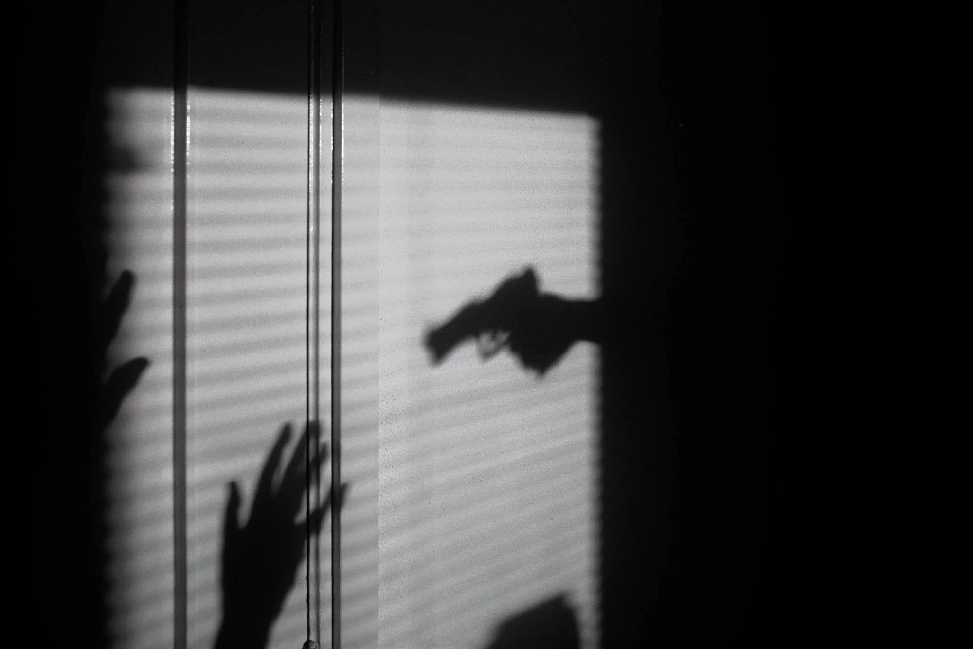 Shadow of a hand and a dog's head are cast onto a vertical surface with horizontal blinds, light coming through the blinds creating a striped pattern.