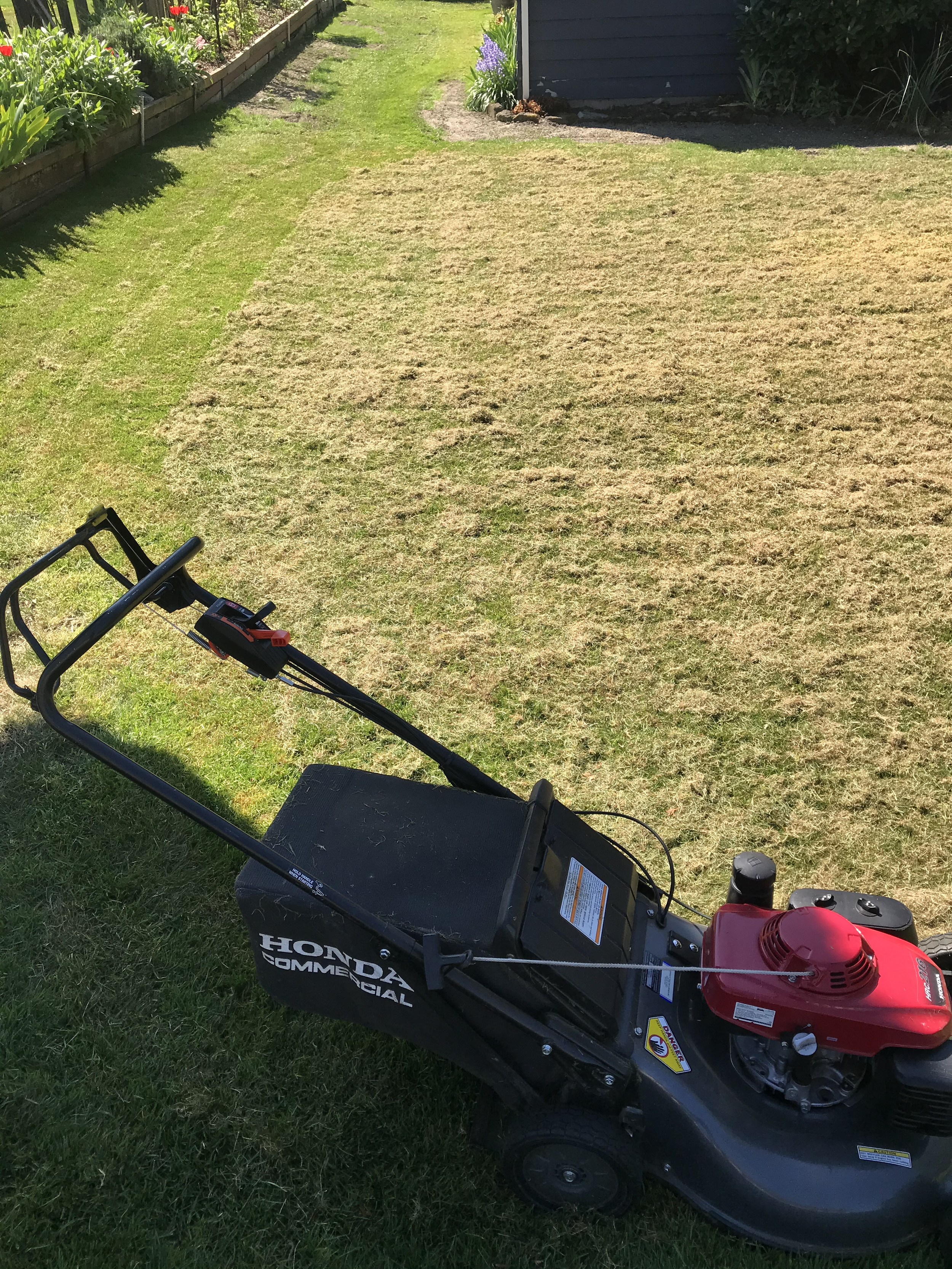 AERATION & OVERSEEDING
