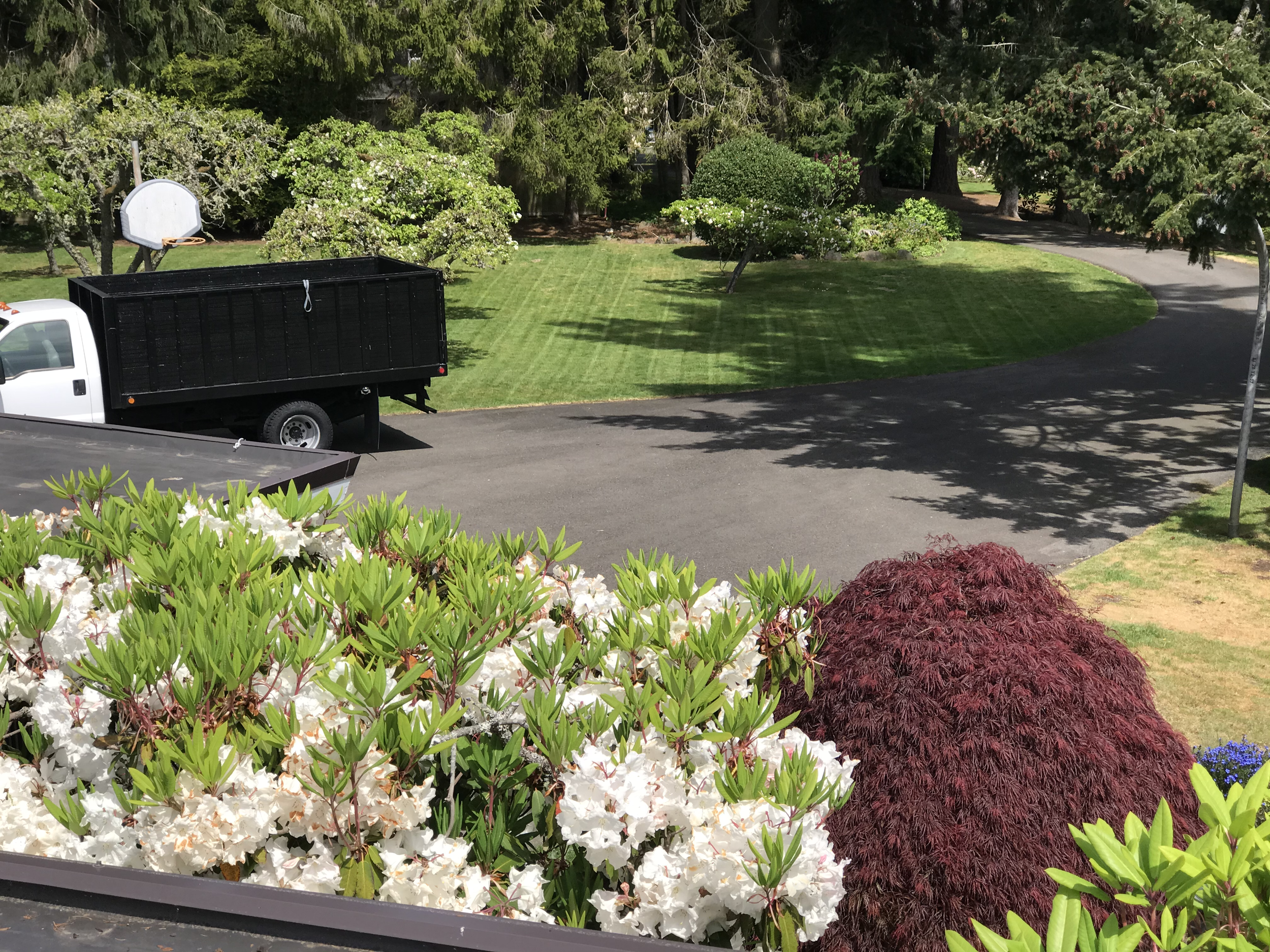 View from a balcony overlooking a residential driveway with a white truck and a black flatbed truck, green grass, trees, and bushes including a red Japanese maple and flowering shrubs.