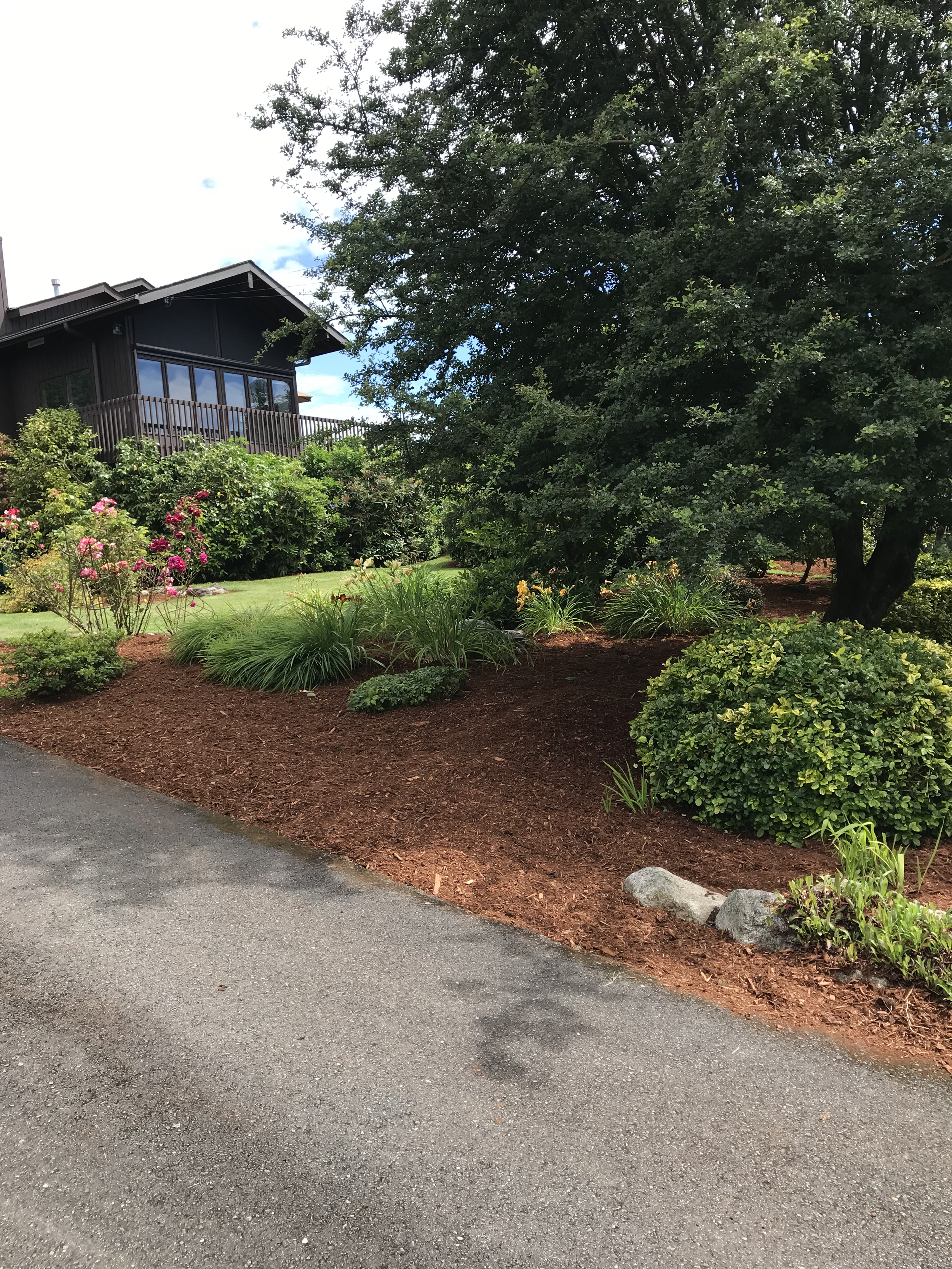 LANDSCAPE MAINTENANCE