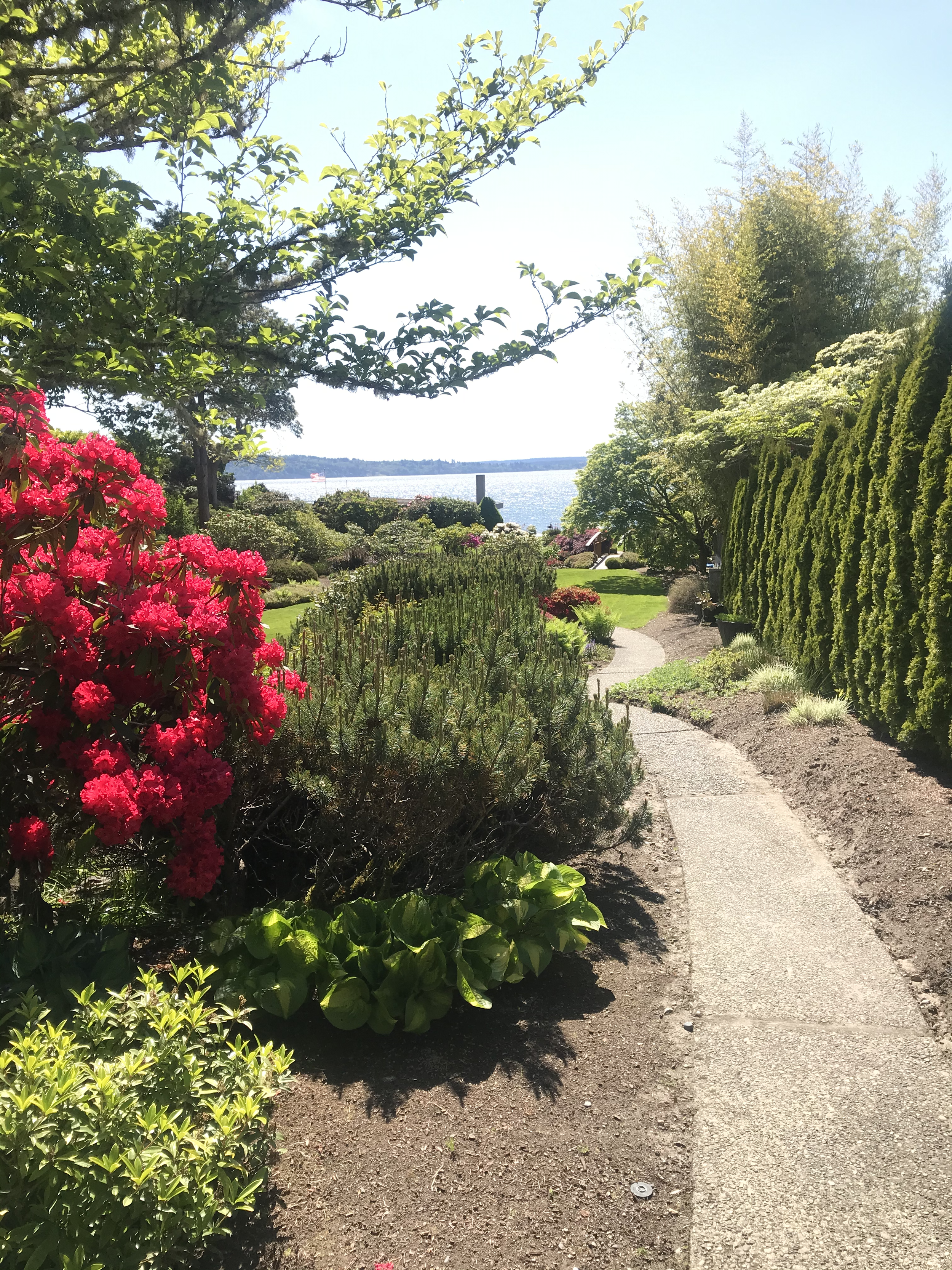 A sunny garden pathway lined with lush green bushes, colorful flowers, and tall trees next to a body of water in the distance.