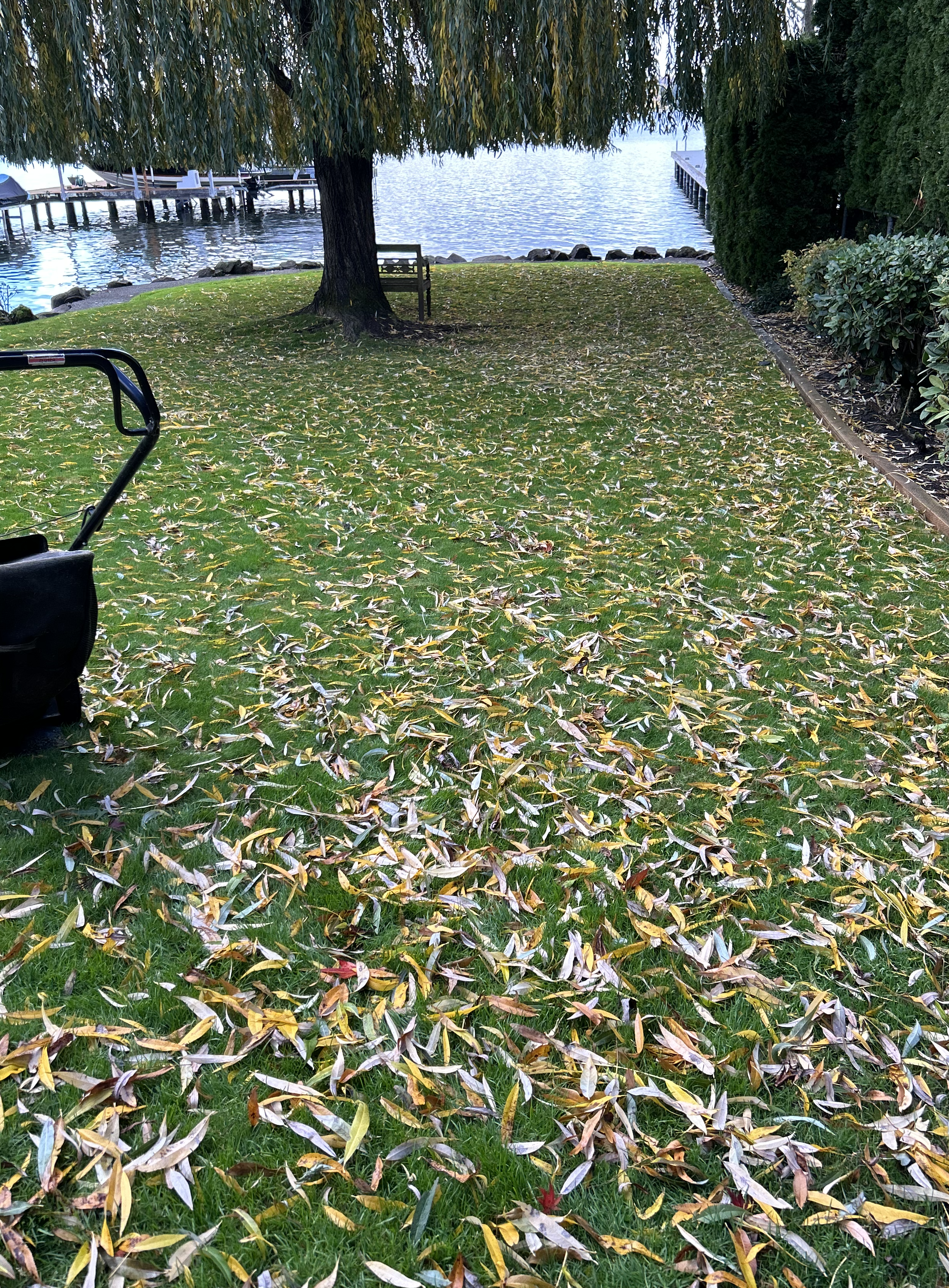 SPRING & FALL PROPERTY CLEANUPS