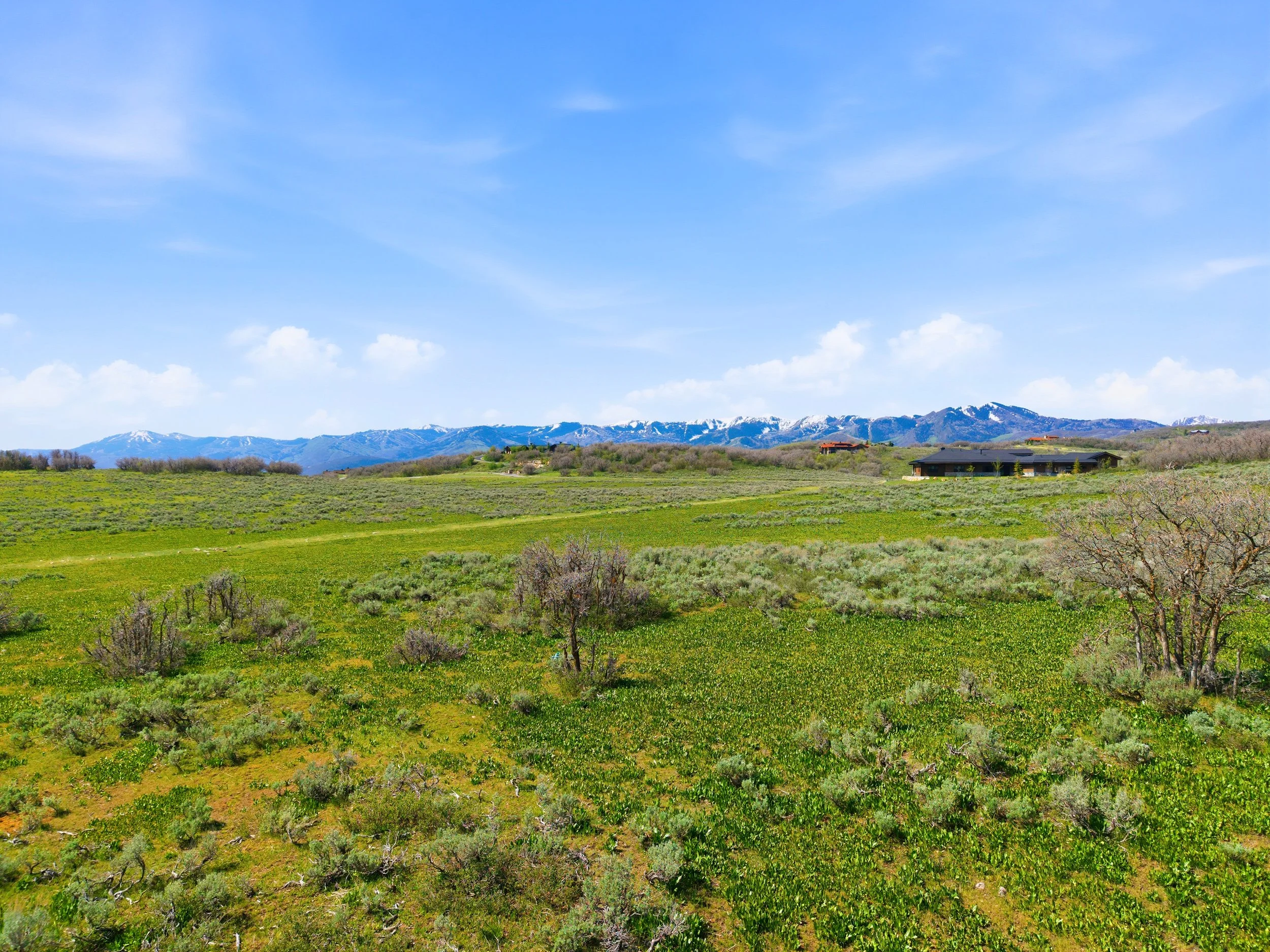 DJI_20260512093918_0010_D.jpg