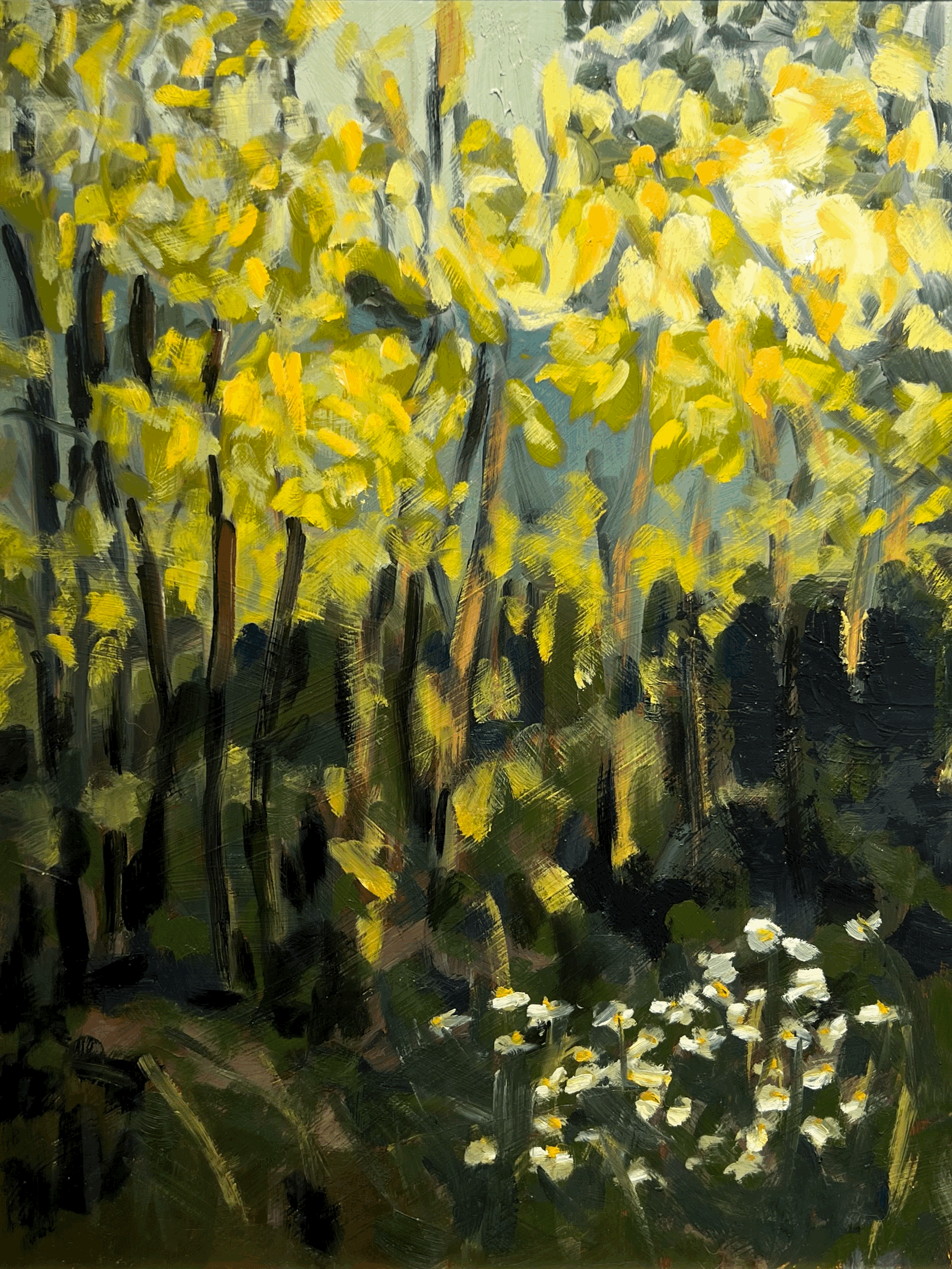 Sunset at the Wood's Edge - Caroline Carney