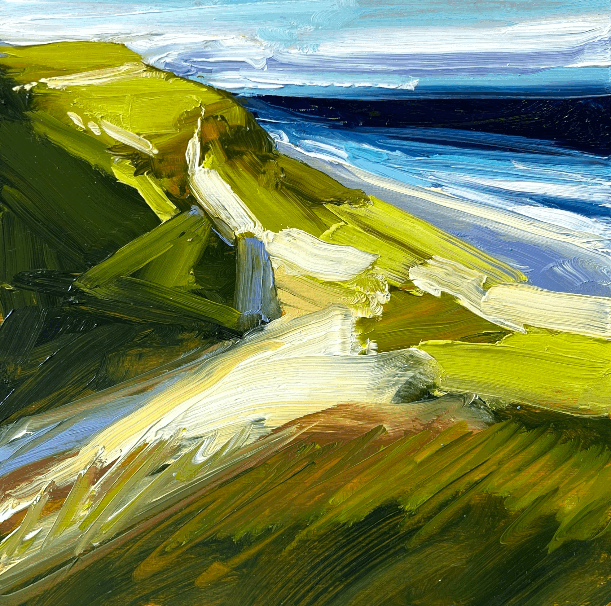 Outer Coast - Pete Hocking