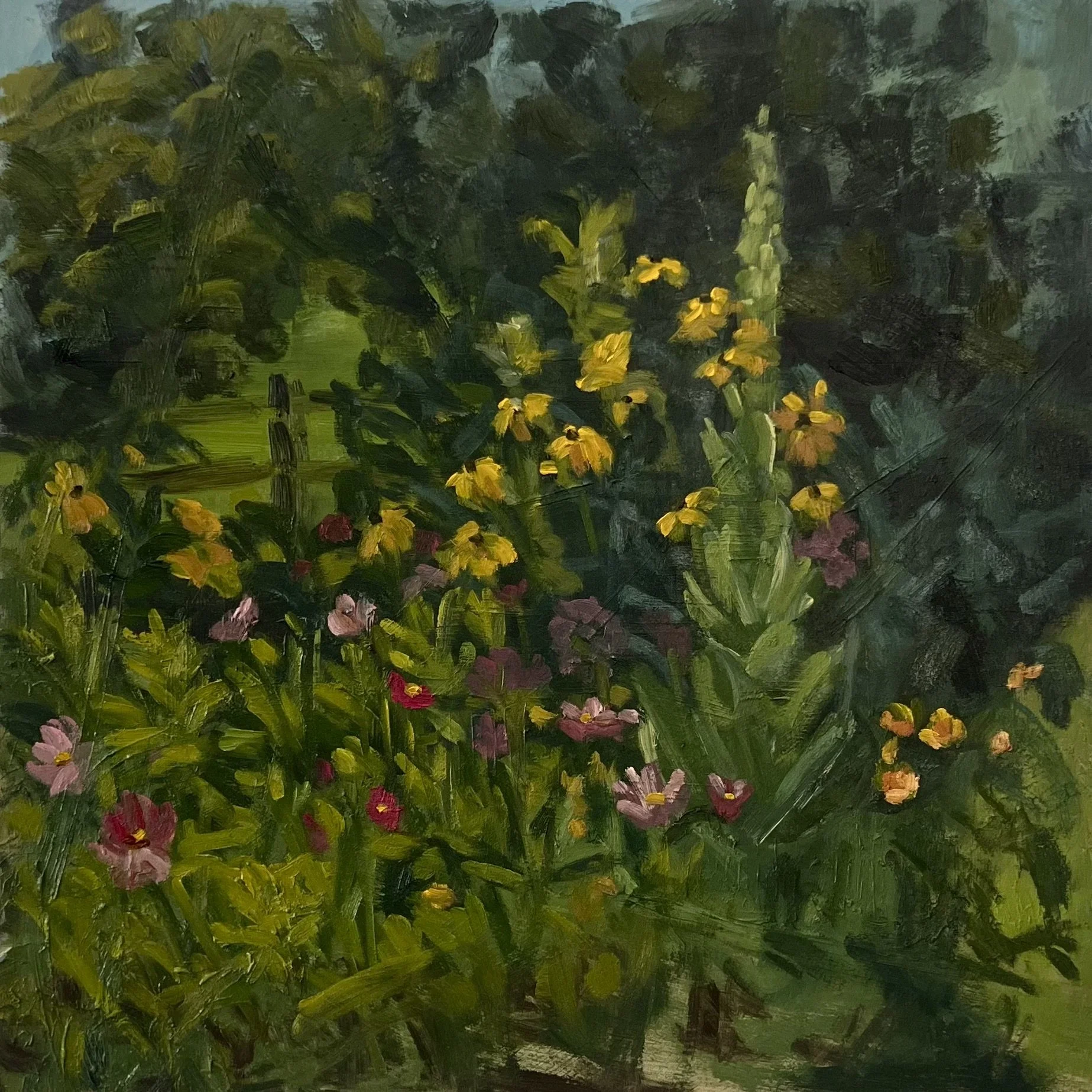 Through the Meadow